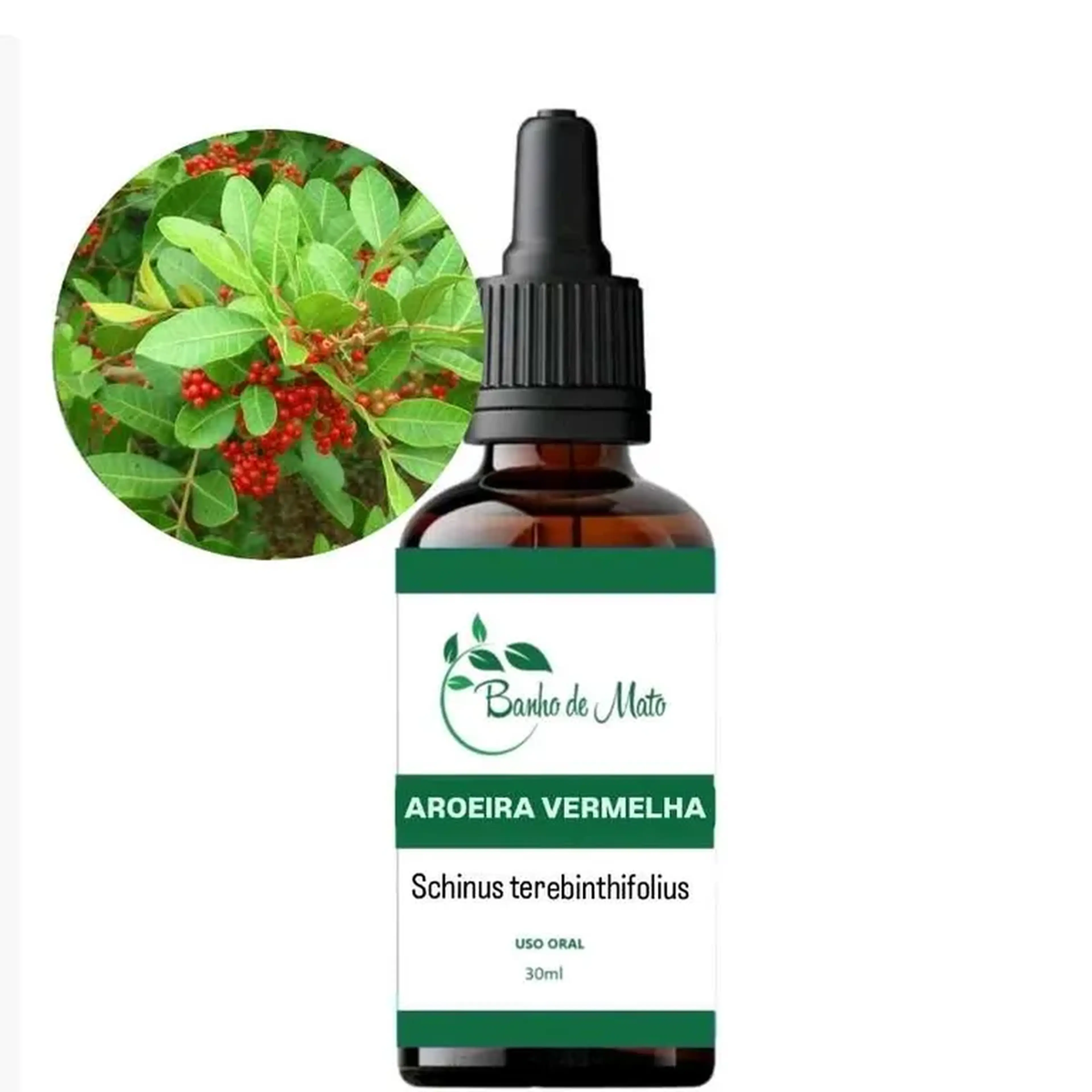 Extrato - AROEIRA VERMELHA (Schinus terebinthifolia) imagem