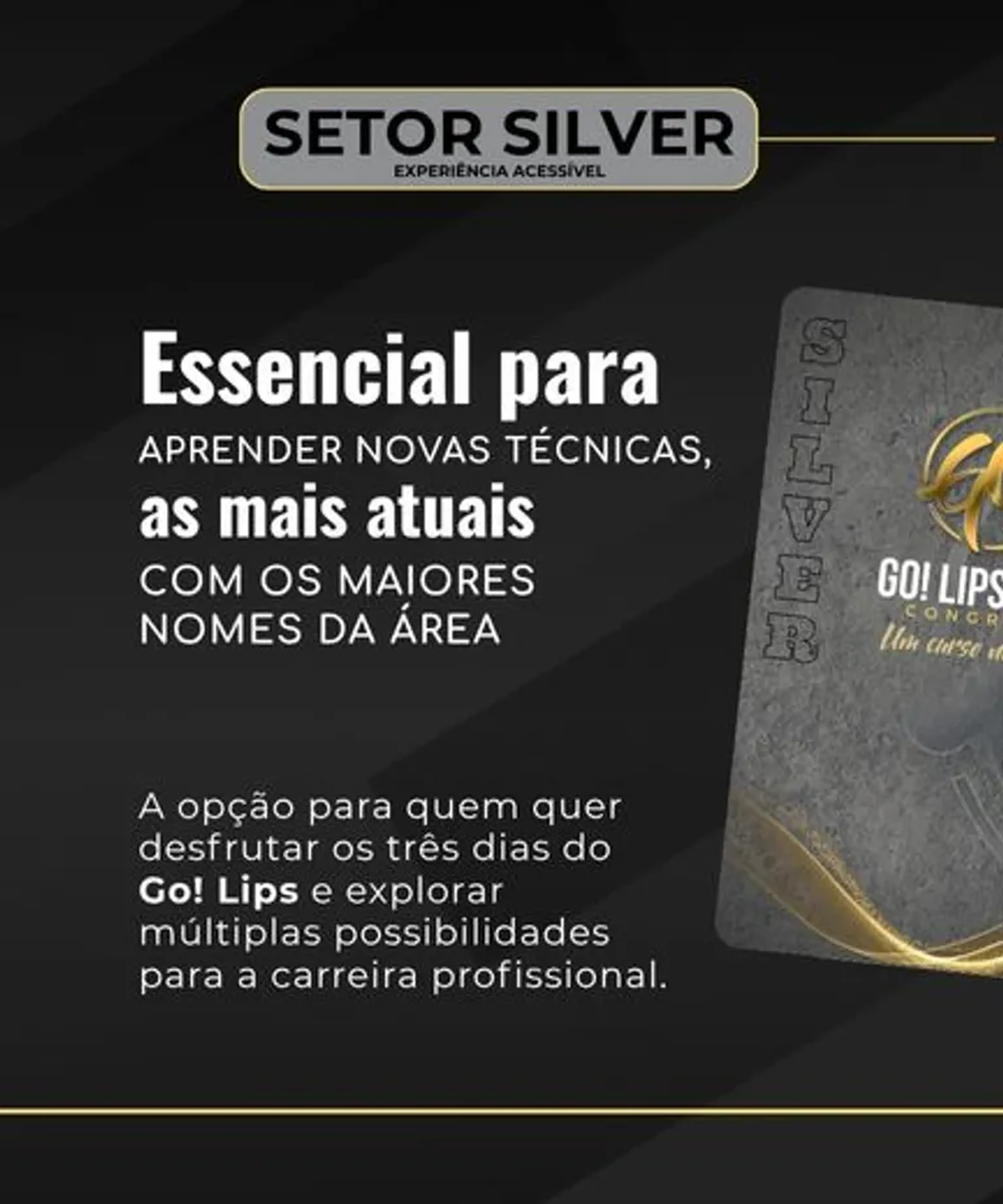 Setor Silver 2026 - PRÉ VENDA | Go! Lips PMU Congress imagem