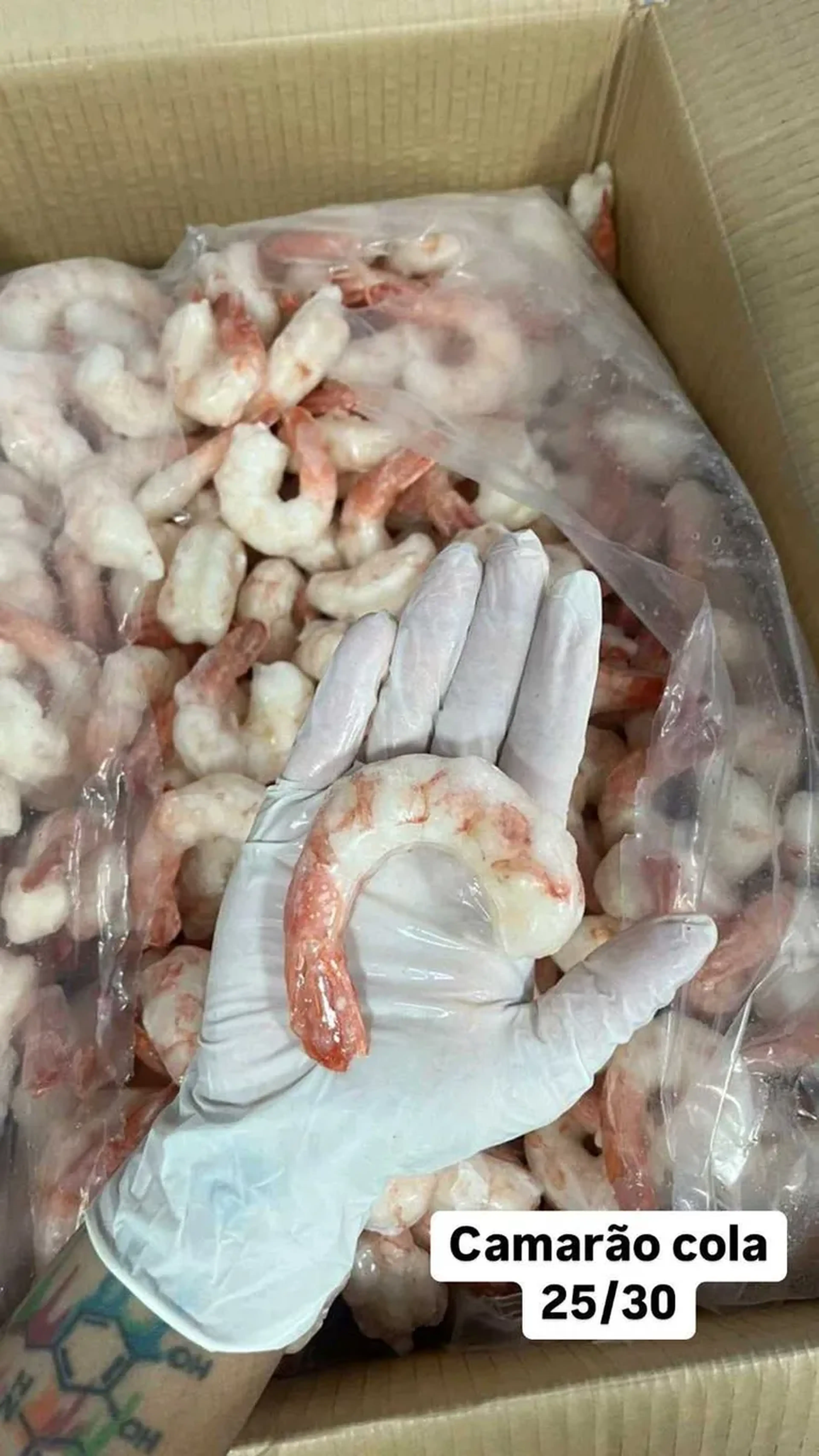 Camarão Rosa G limpo Eviscerado imagem
