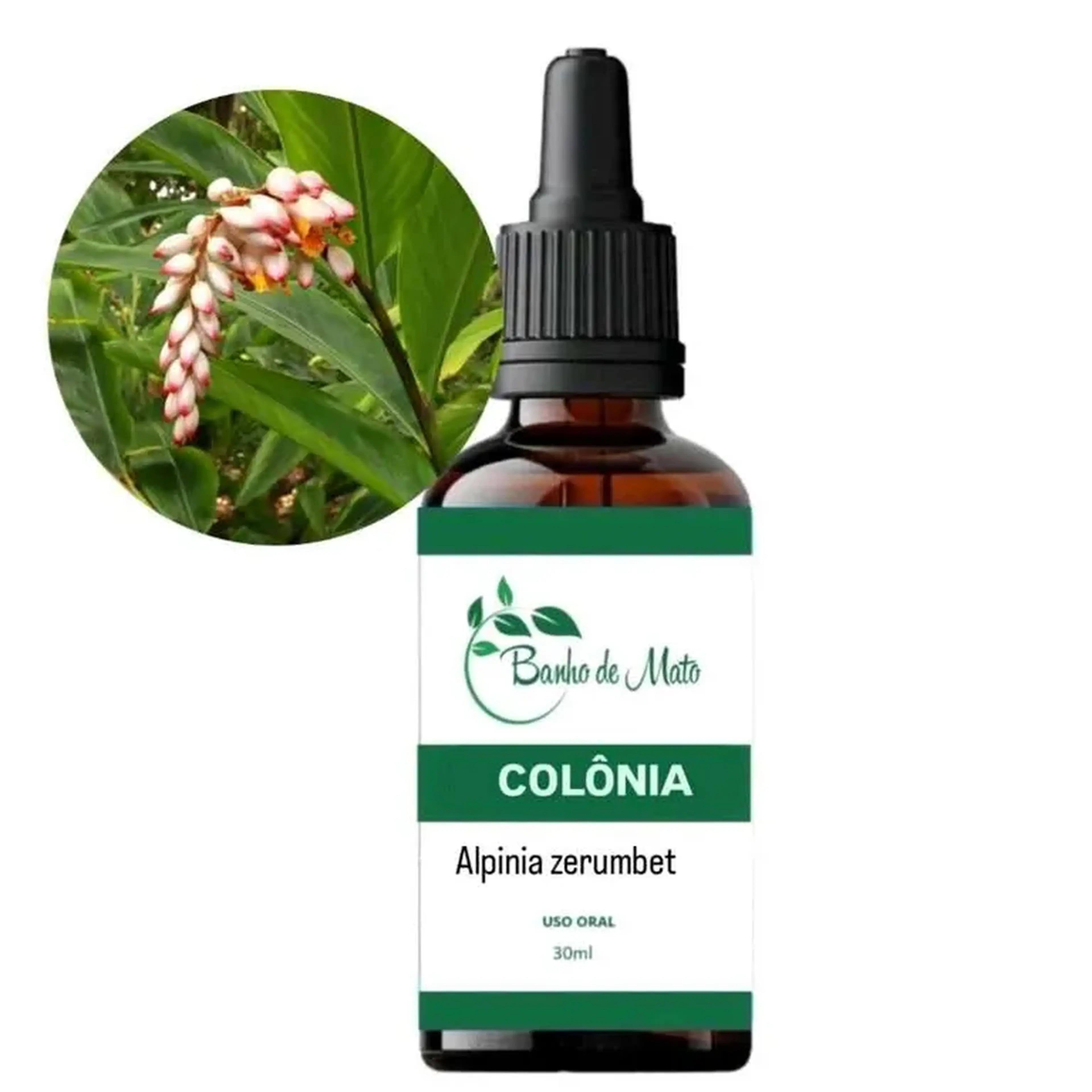 Extrato - COLÔNIA - Alpinia zerumbet imagem