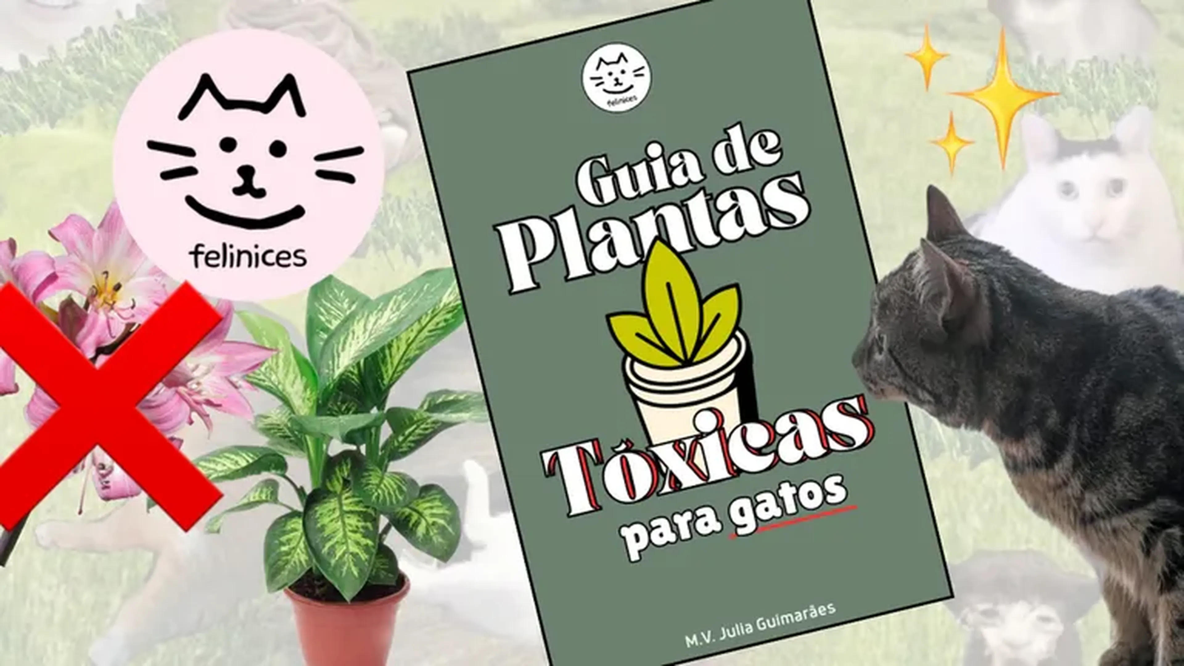 guia de plantas tóxicas para gatos imagem