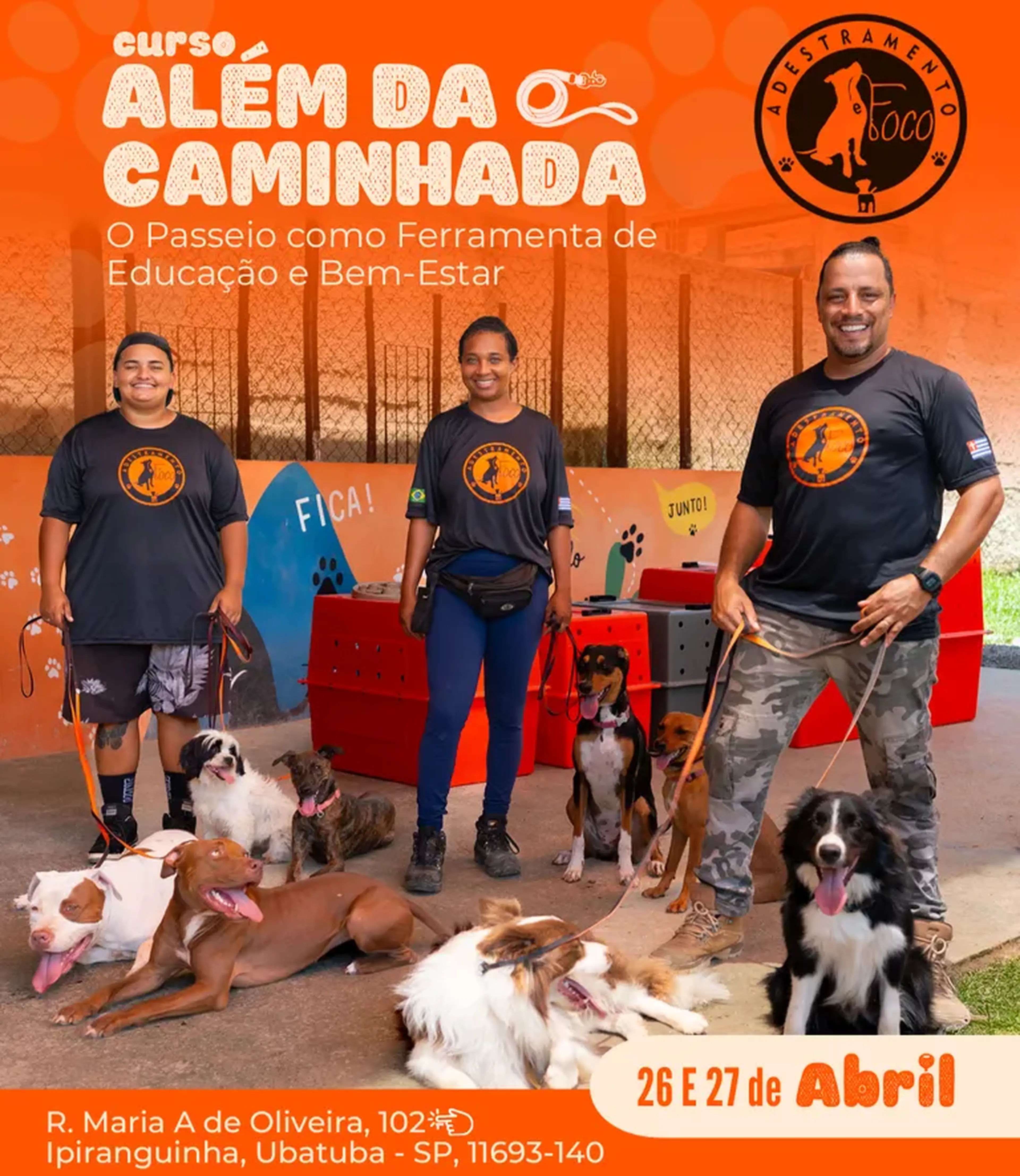 Curso Além da Caminhada imagem