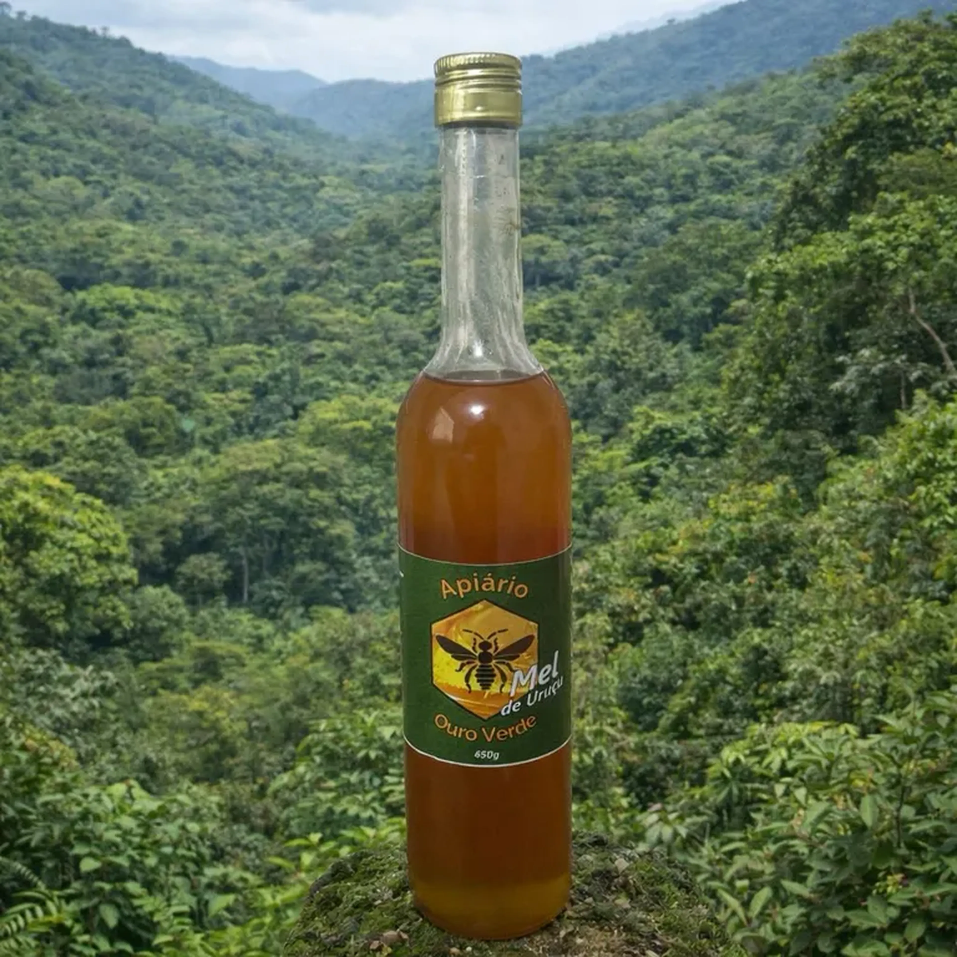 Mel de abelha Uruçu 650g imagem