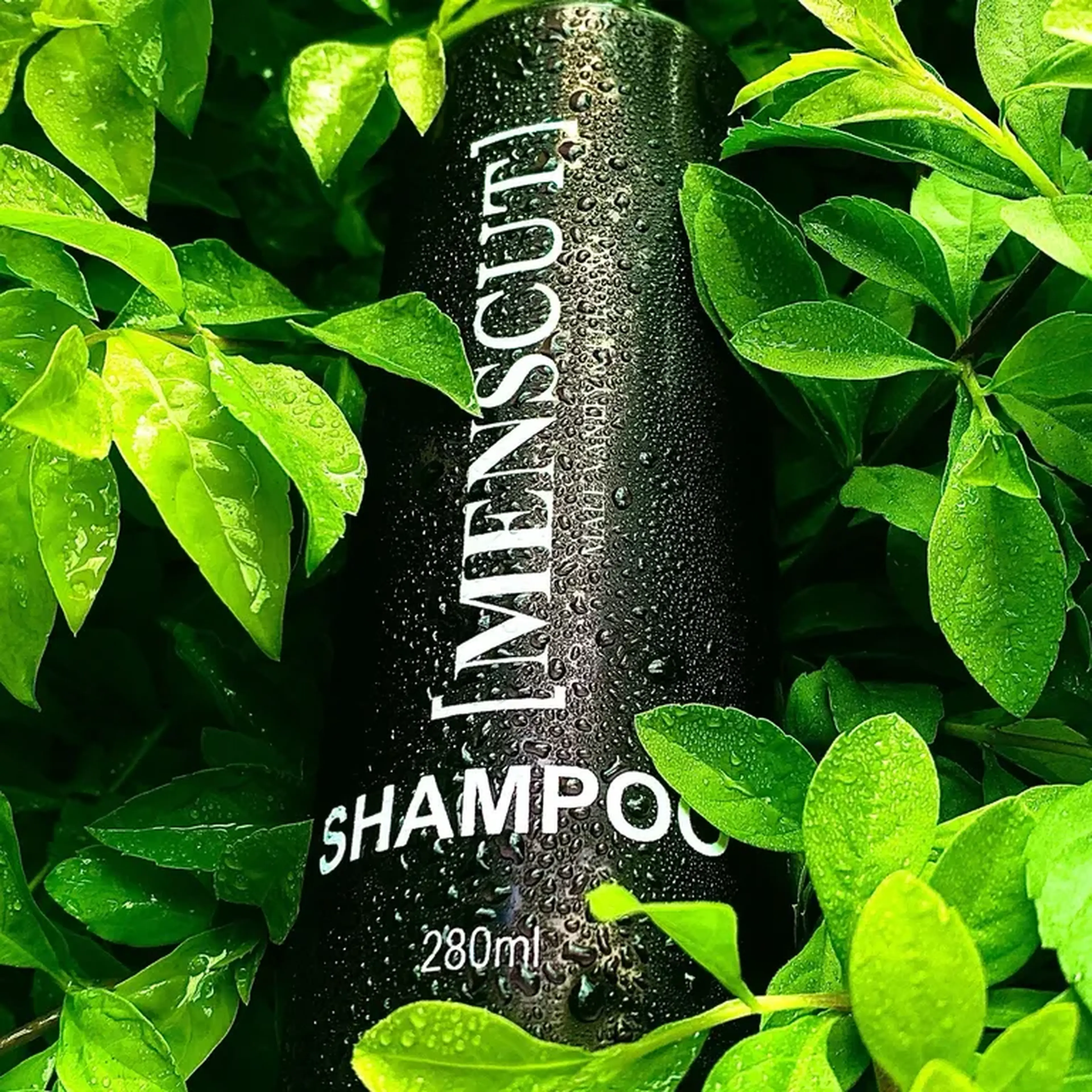 Shampoo imagem