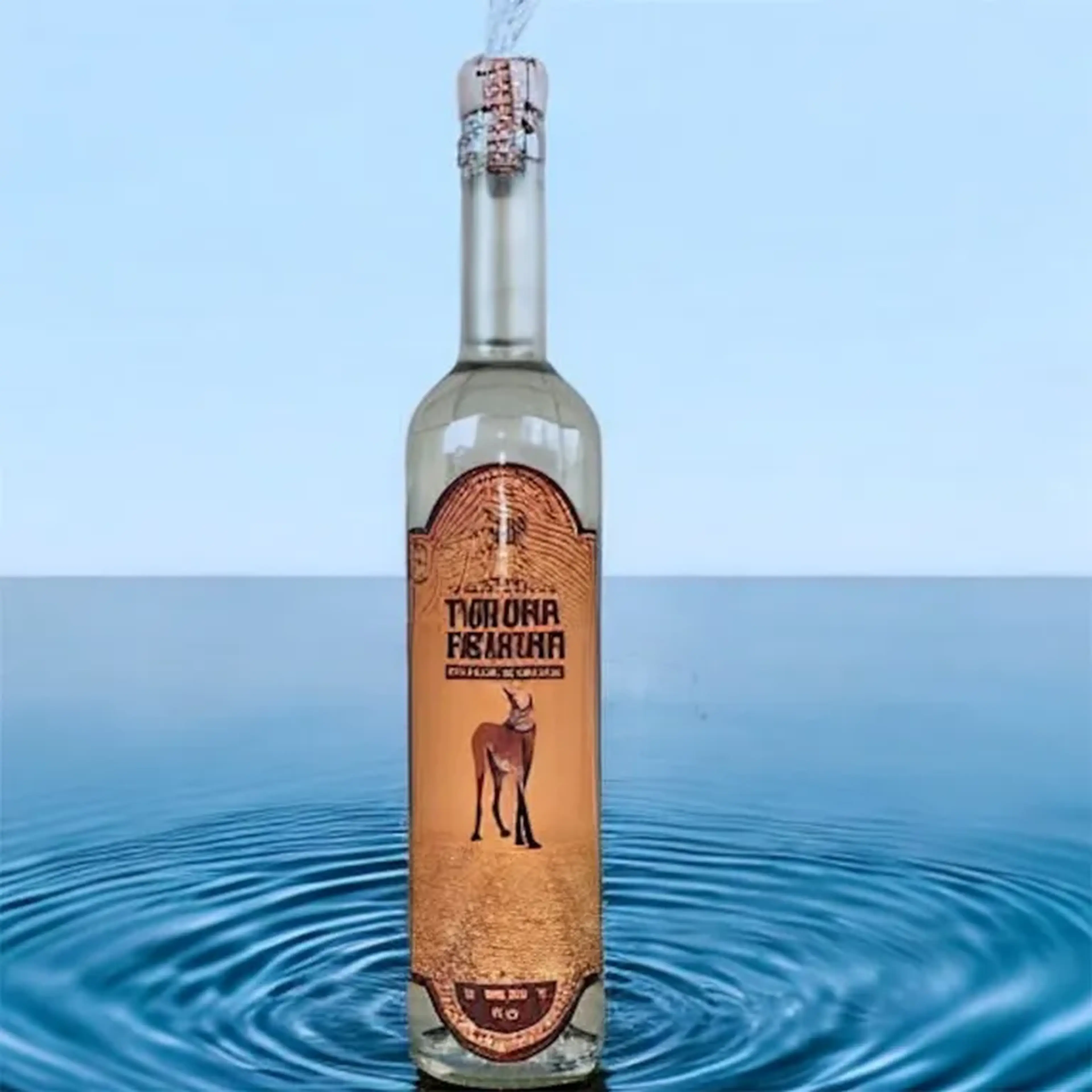 Tiquira Aguará 500ml - lançamento imagem