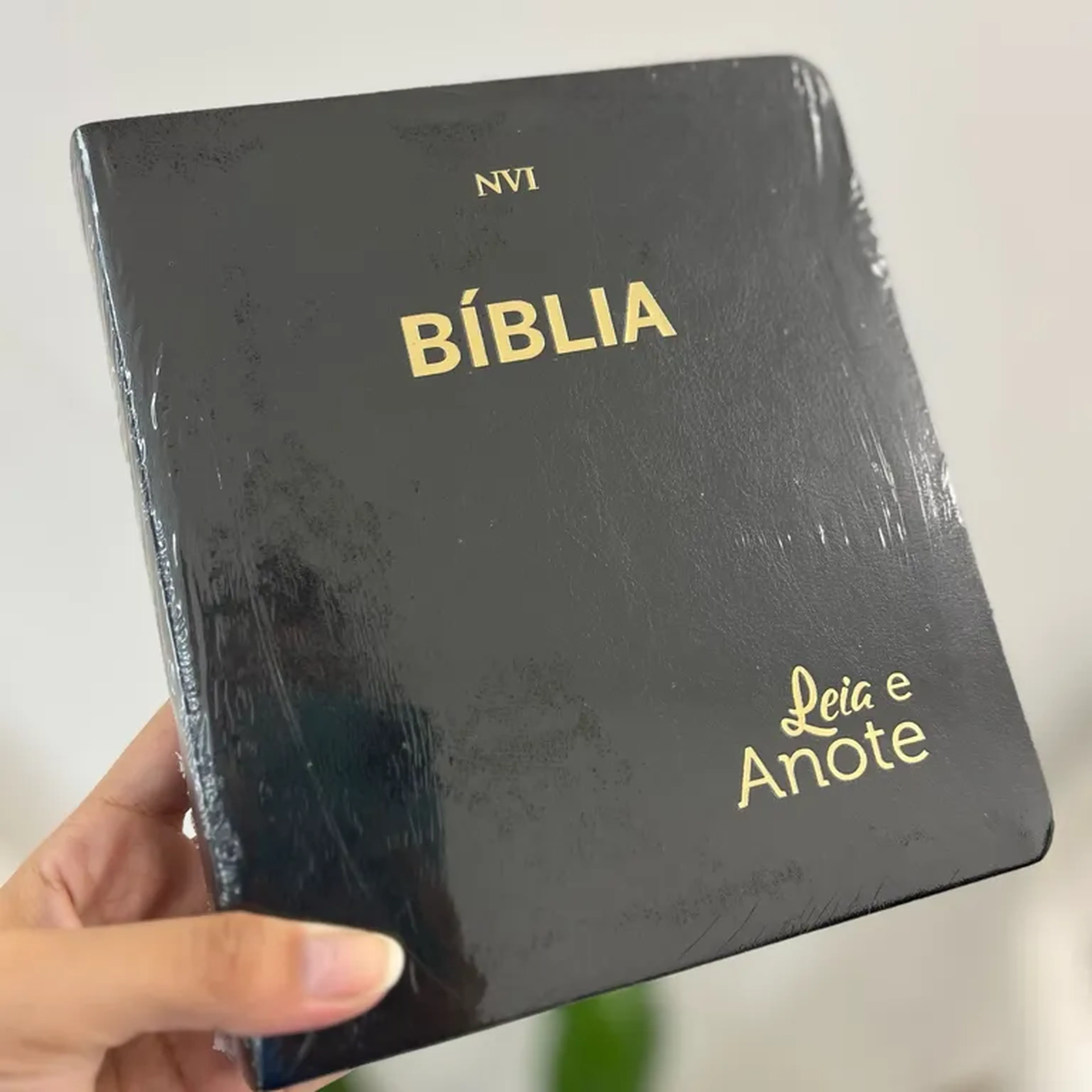 Bíblias leia e anote NVI imagem