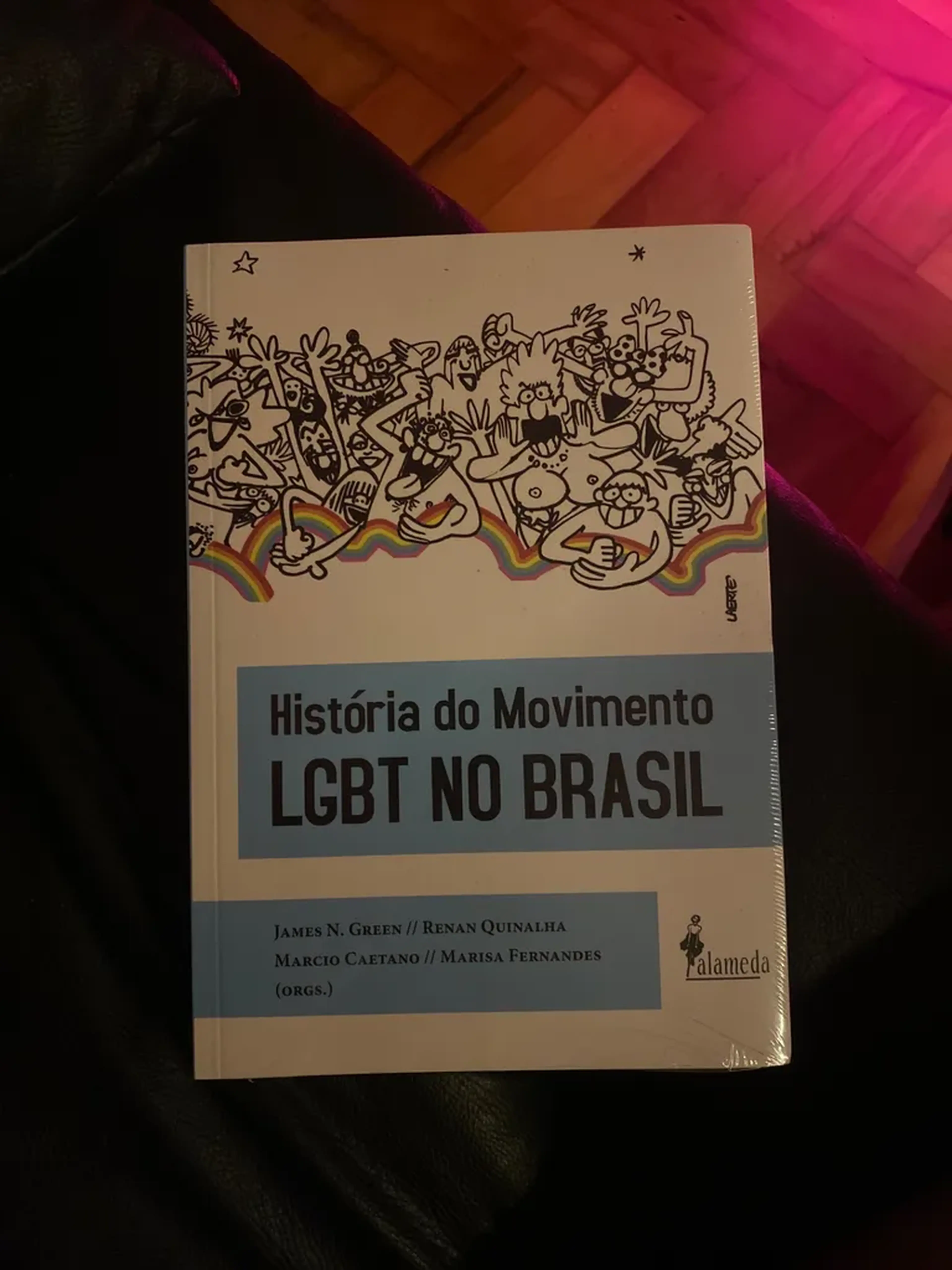 História do Movimento LGBT no Brasil imagem