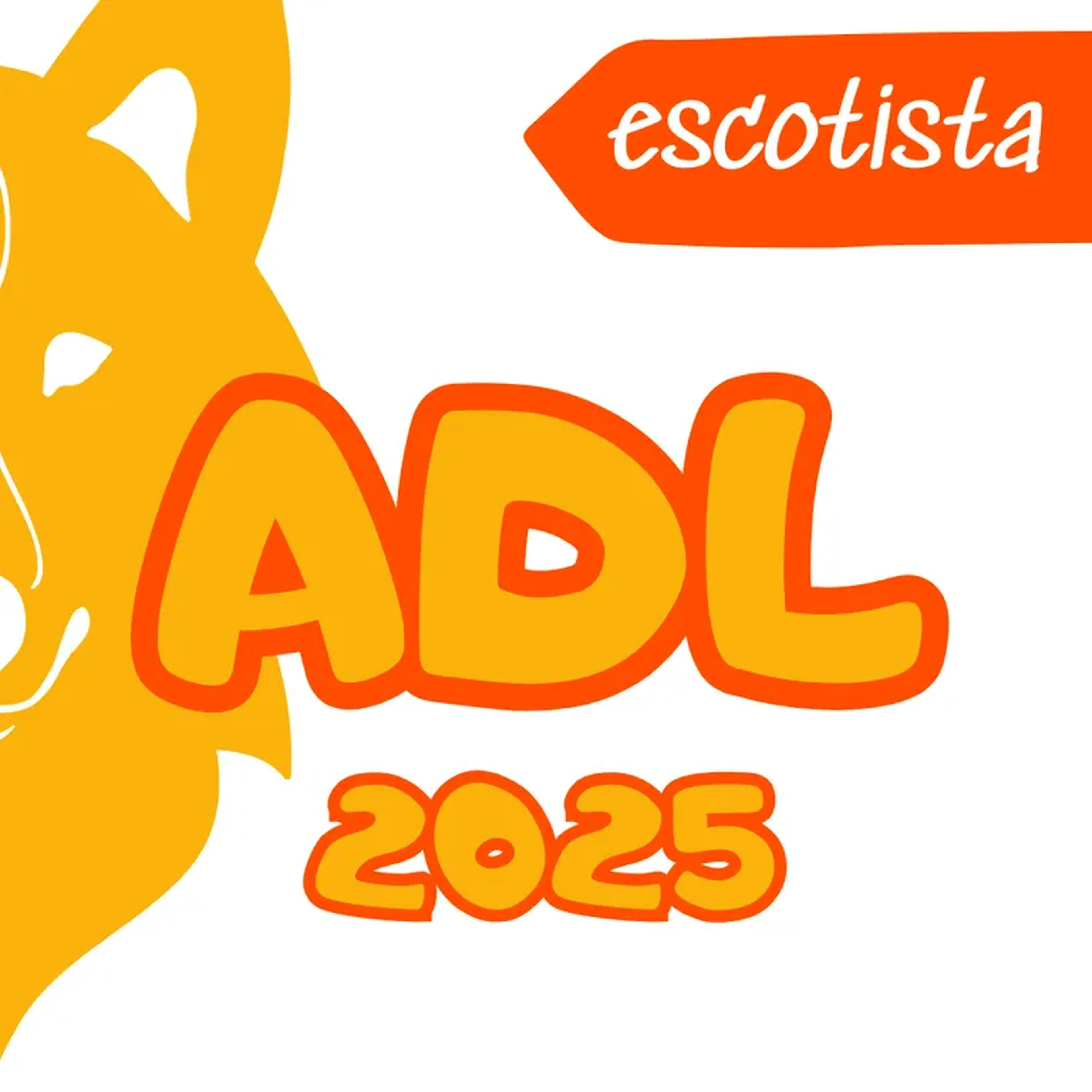 ADL + Transporte (escotista) imagem