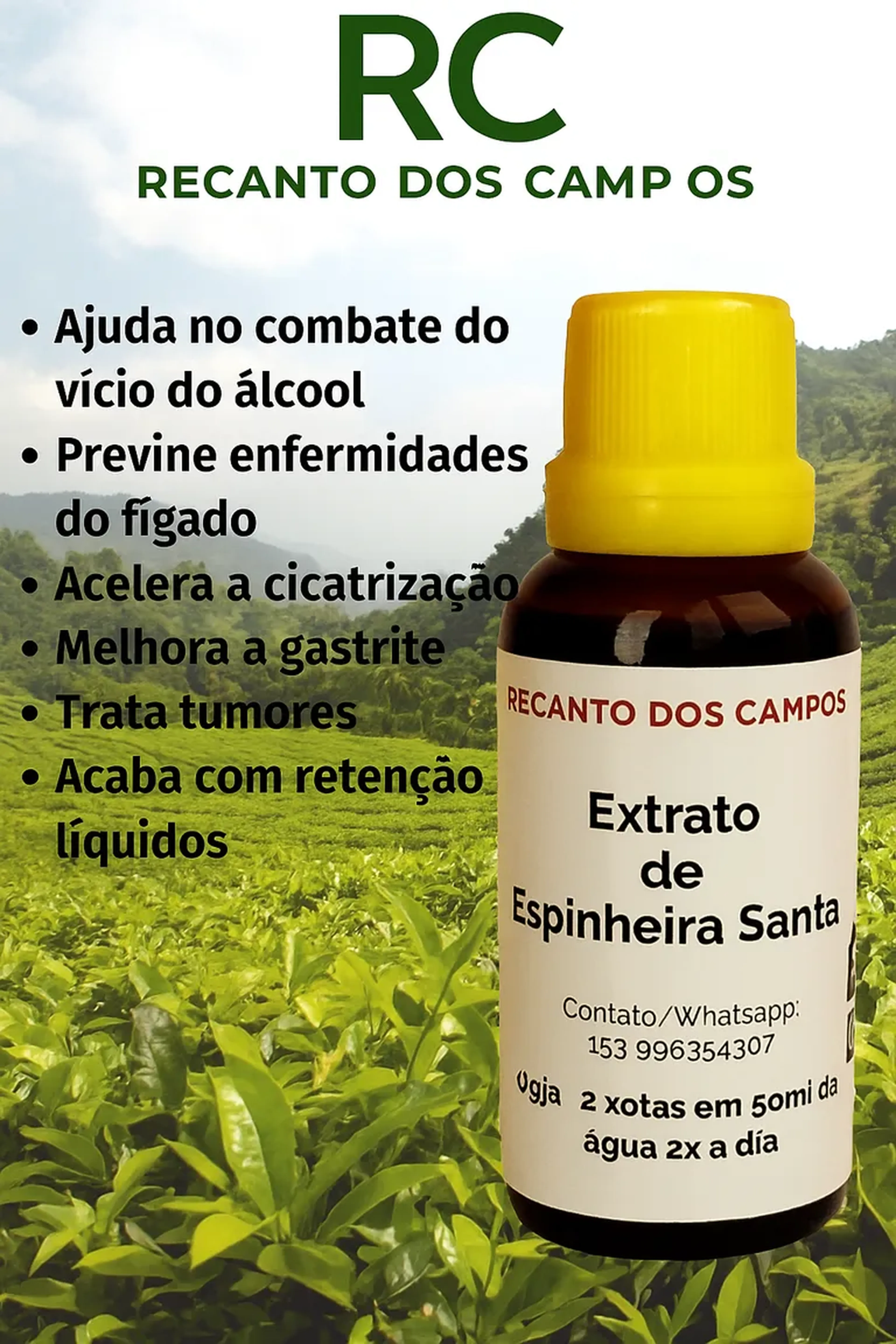Extrato de Espinheira Santa imagem