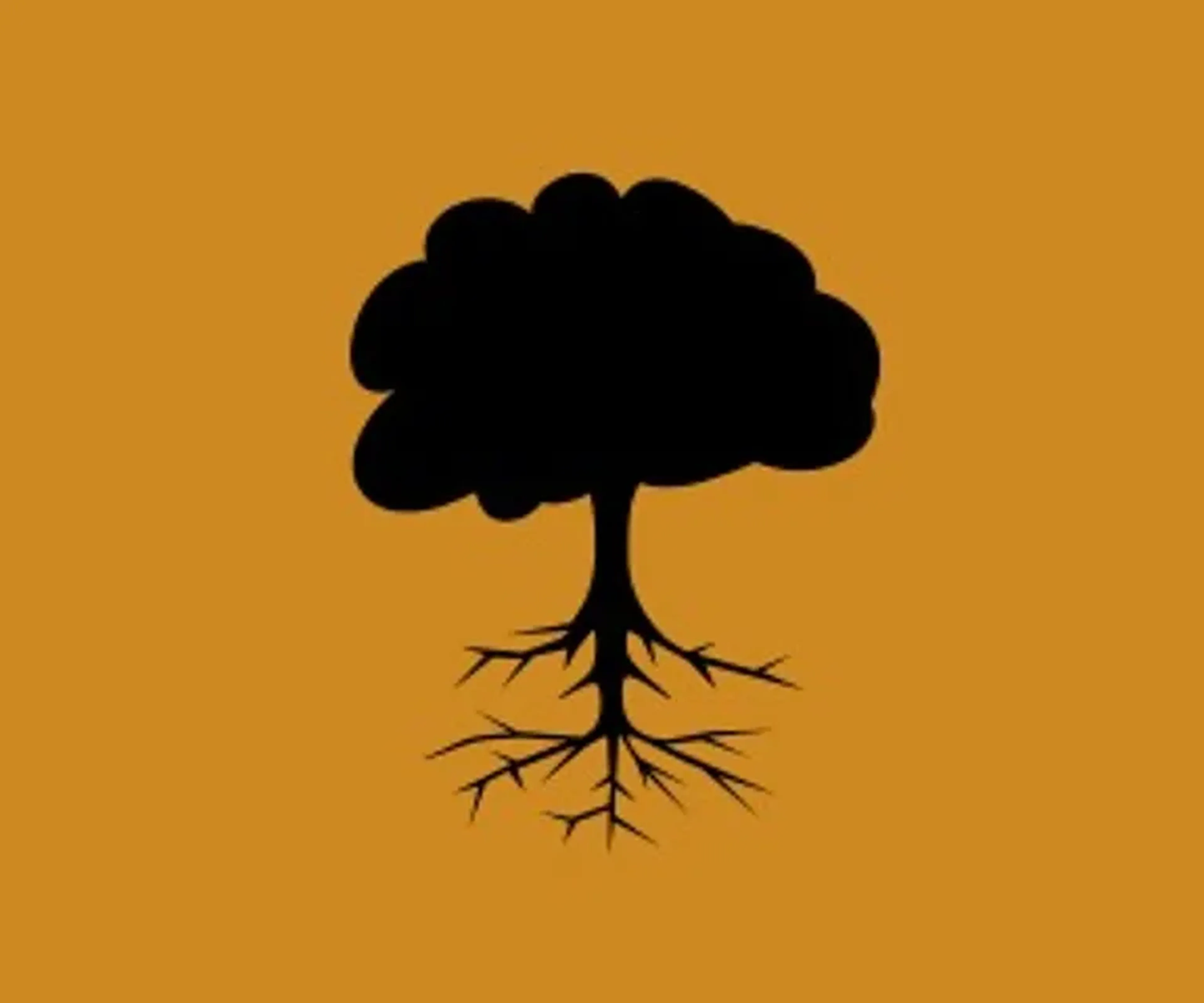 Astrologia Sistêmica imagem