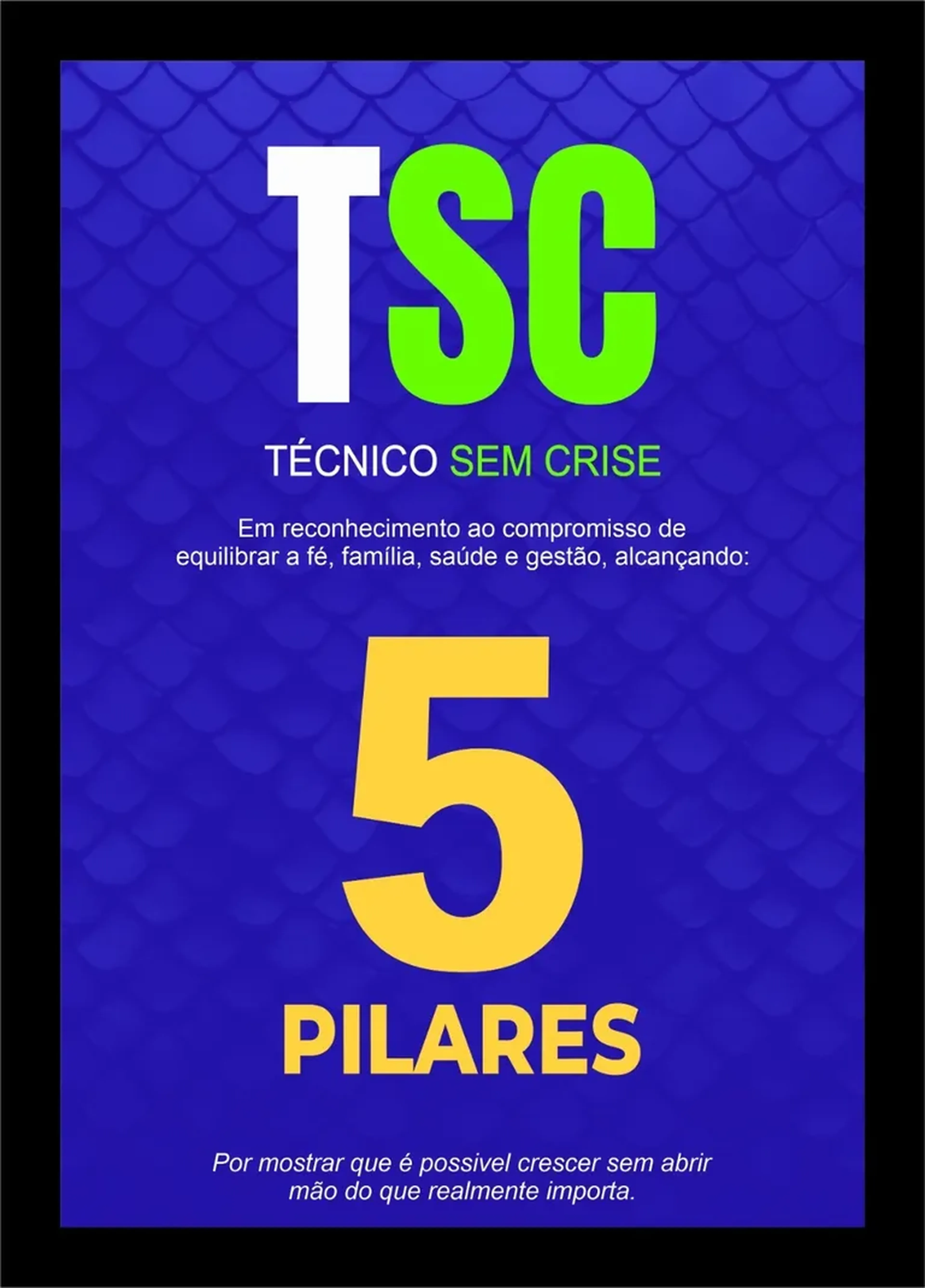 MENTORIA TSC 2026 imagem