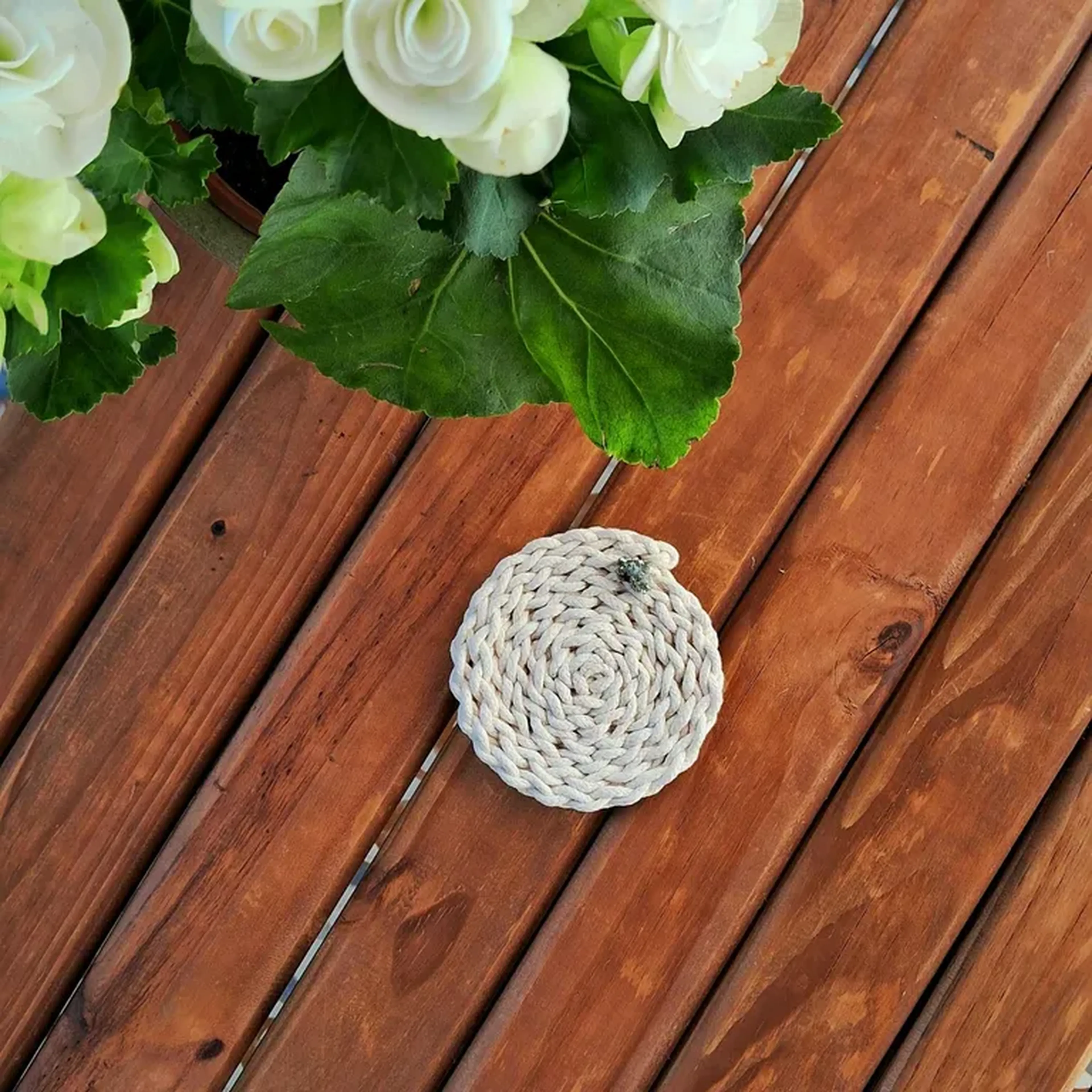 Porta-copo Humílis imagem