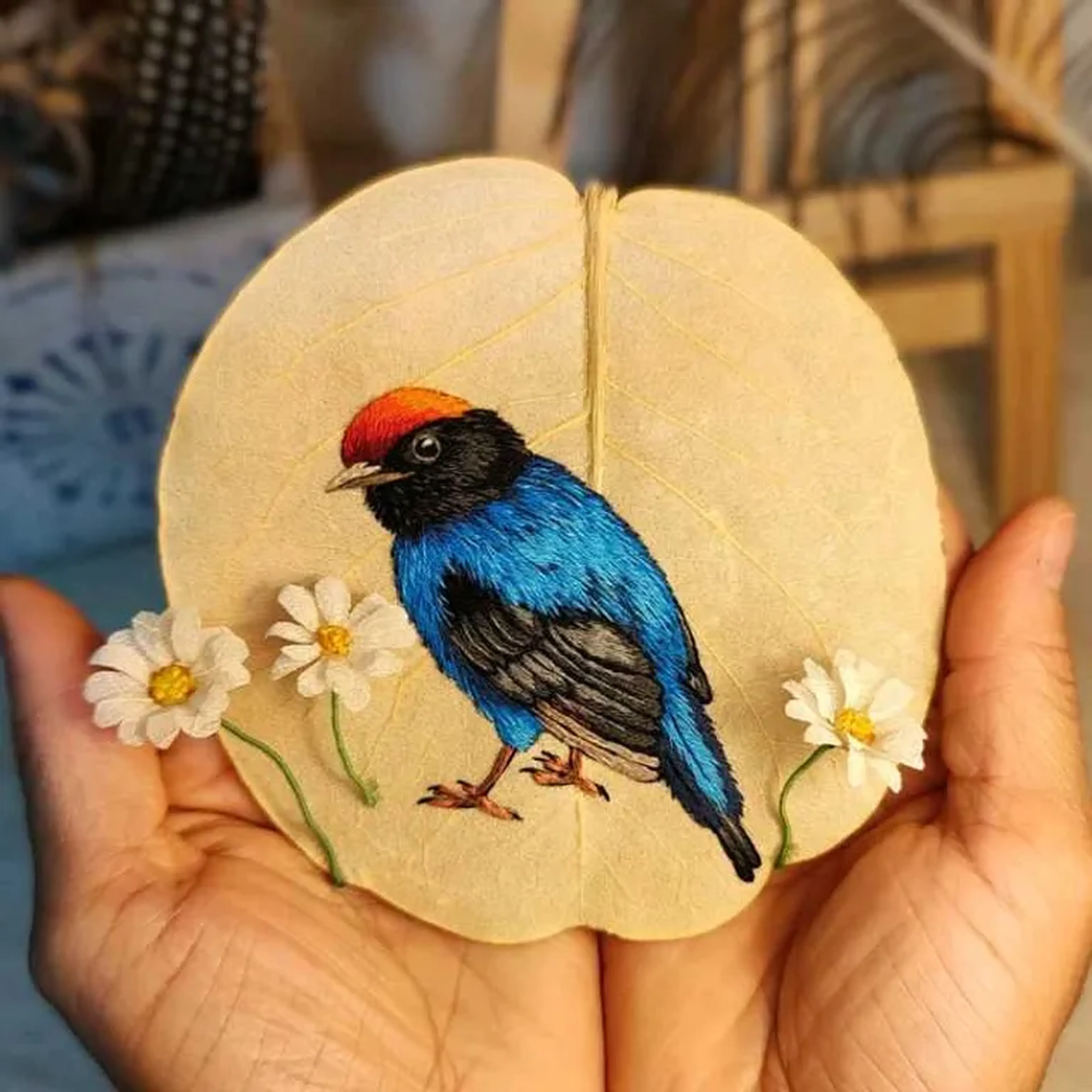 Tangará Apostila Digital PDF imagem