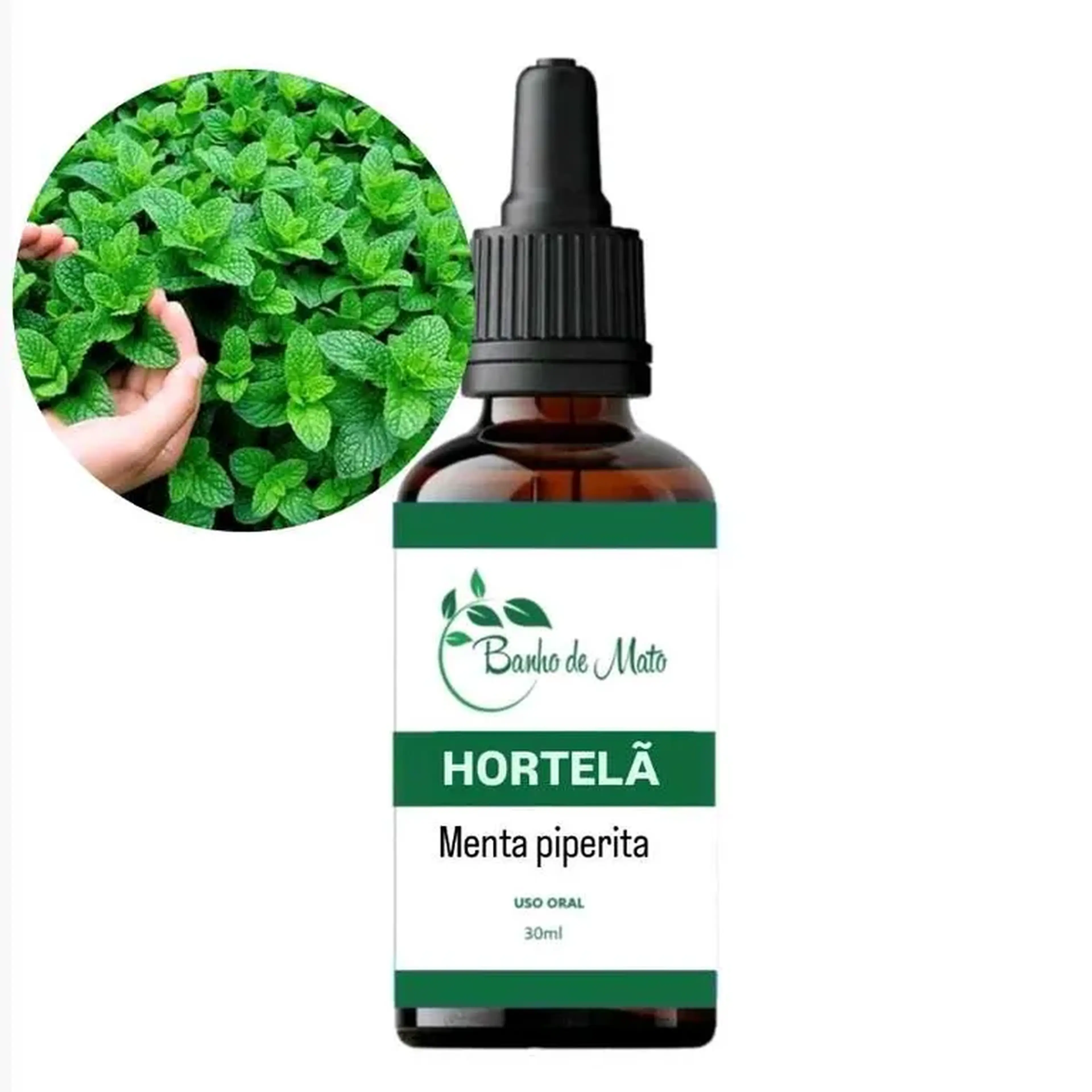 Extrato - HORTELÃ (Menta piperita) imagem