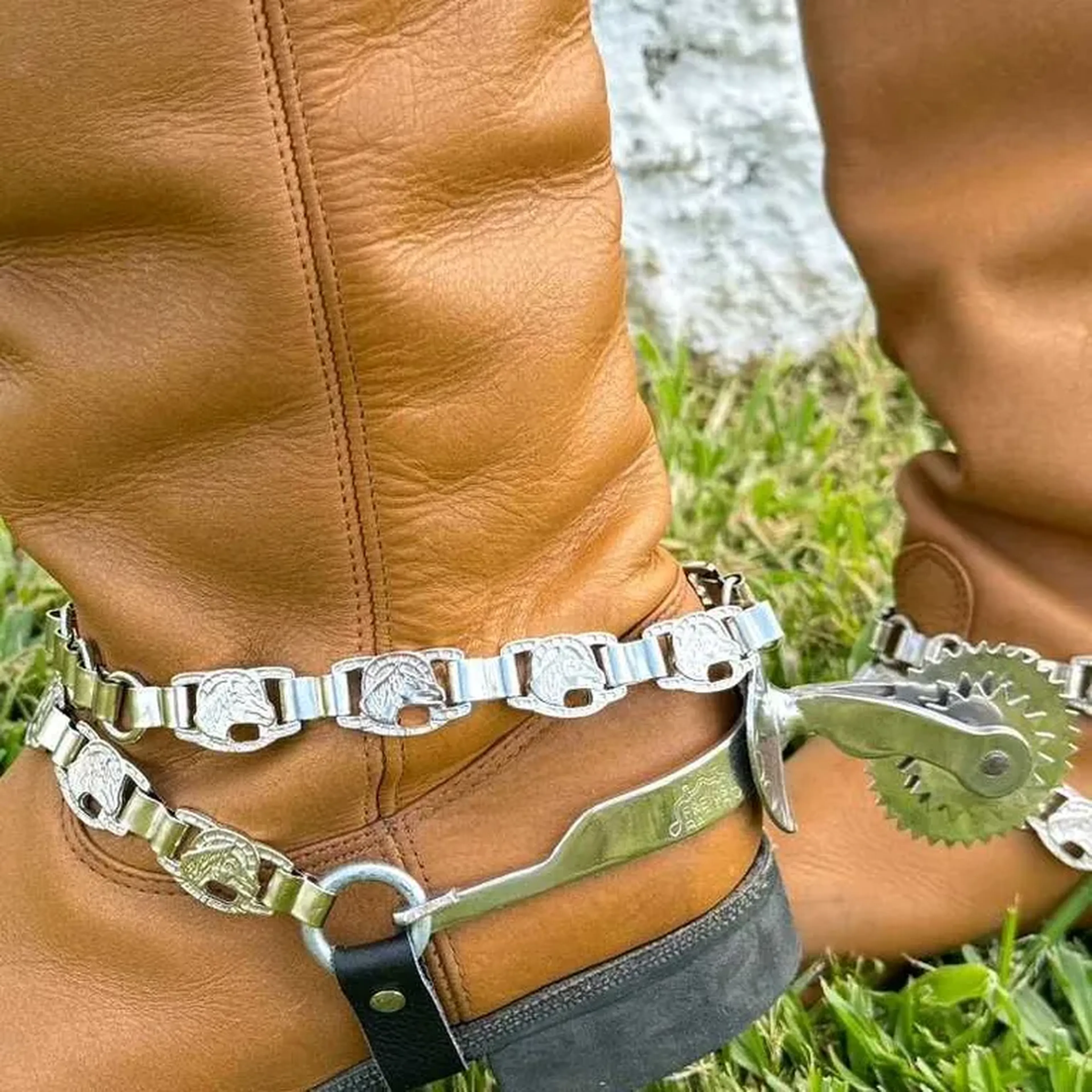 correias de esporas artística imagem