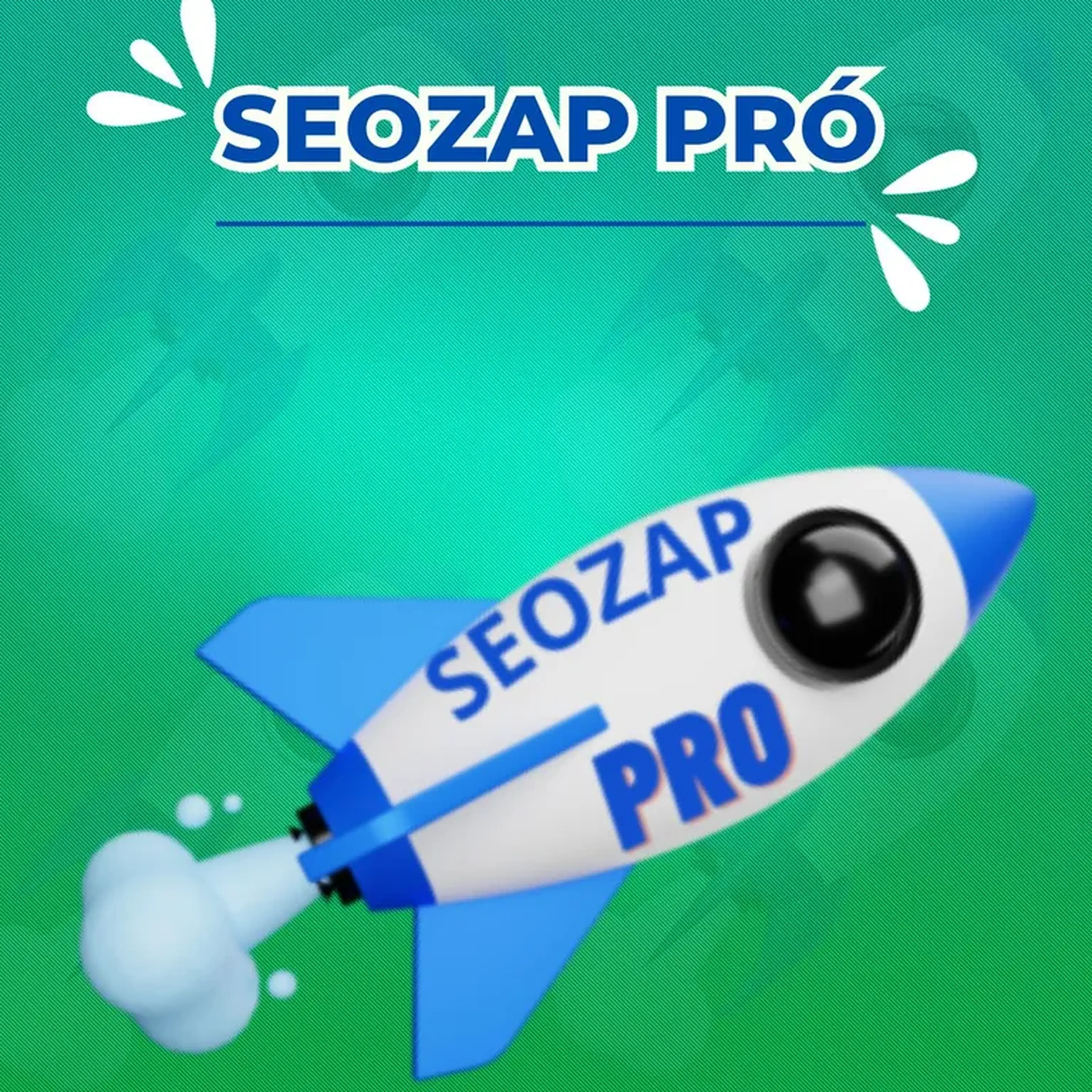 liberacao 12 MESES DE USO SEOZAP PRO imagem