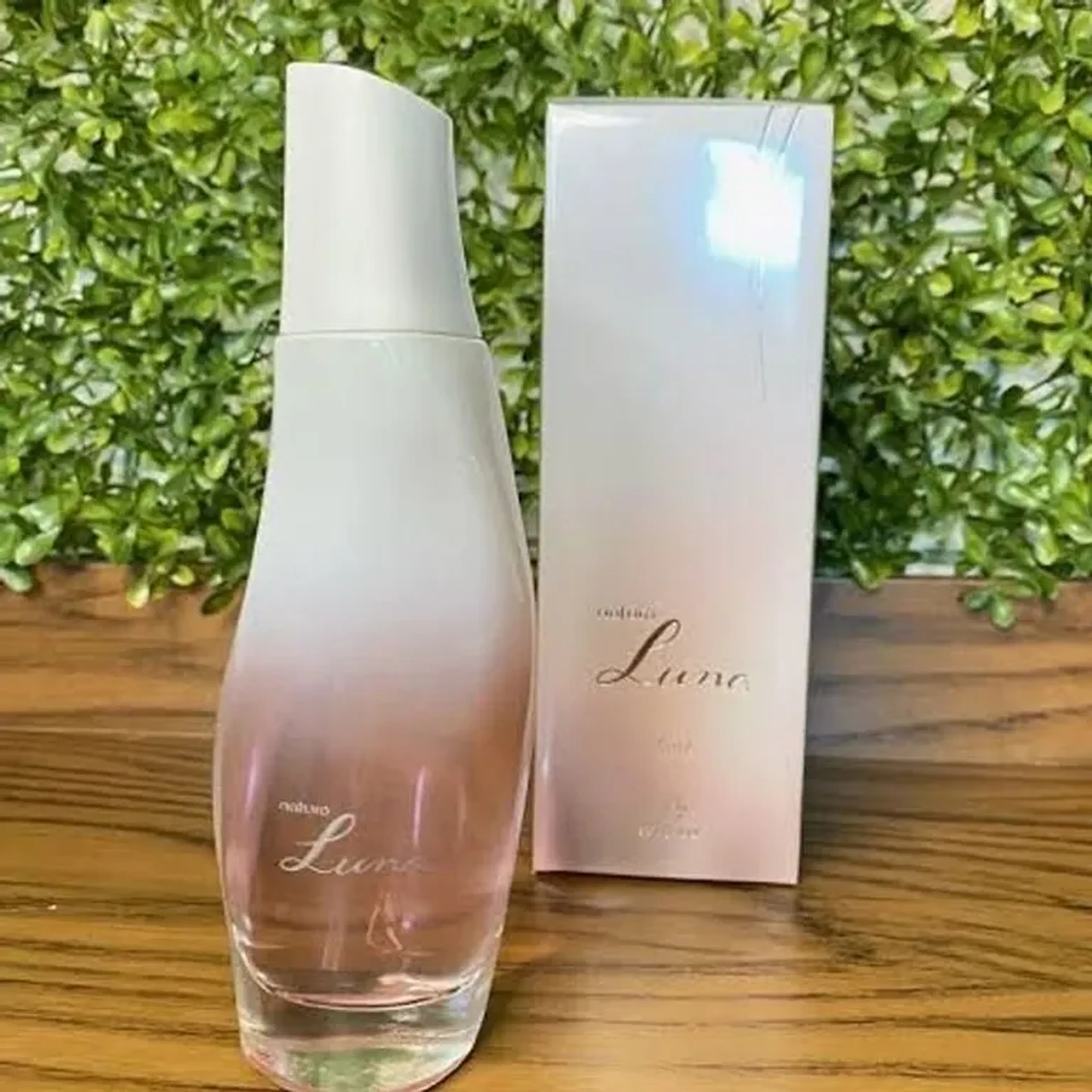 Perfume Luna Feminino imagem