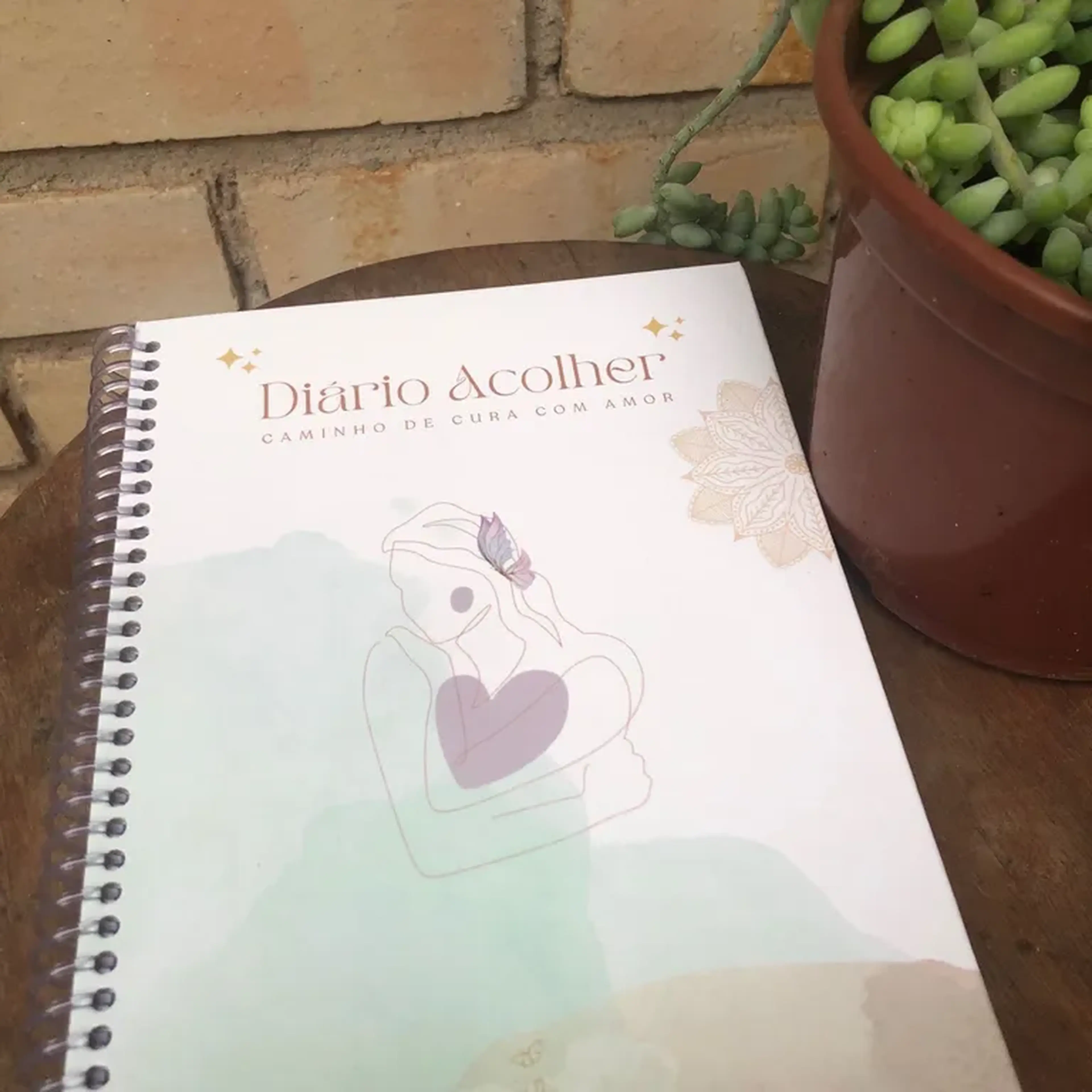 Diário Terapêutico ACOLHER imagem