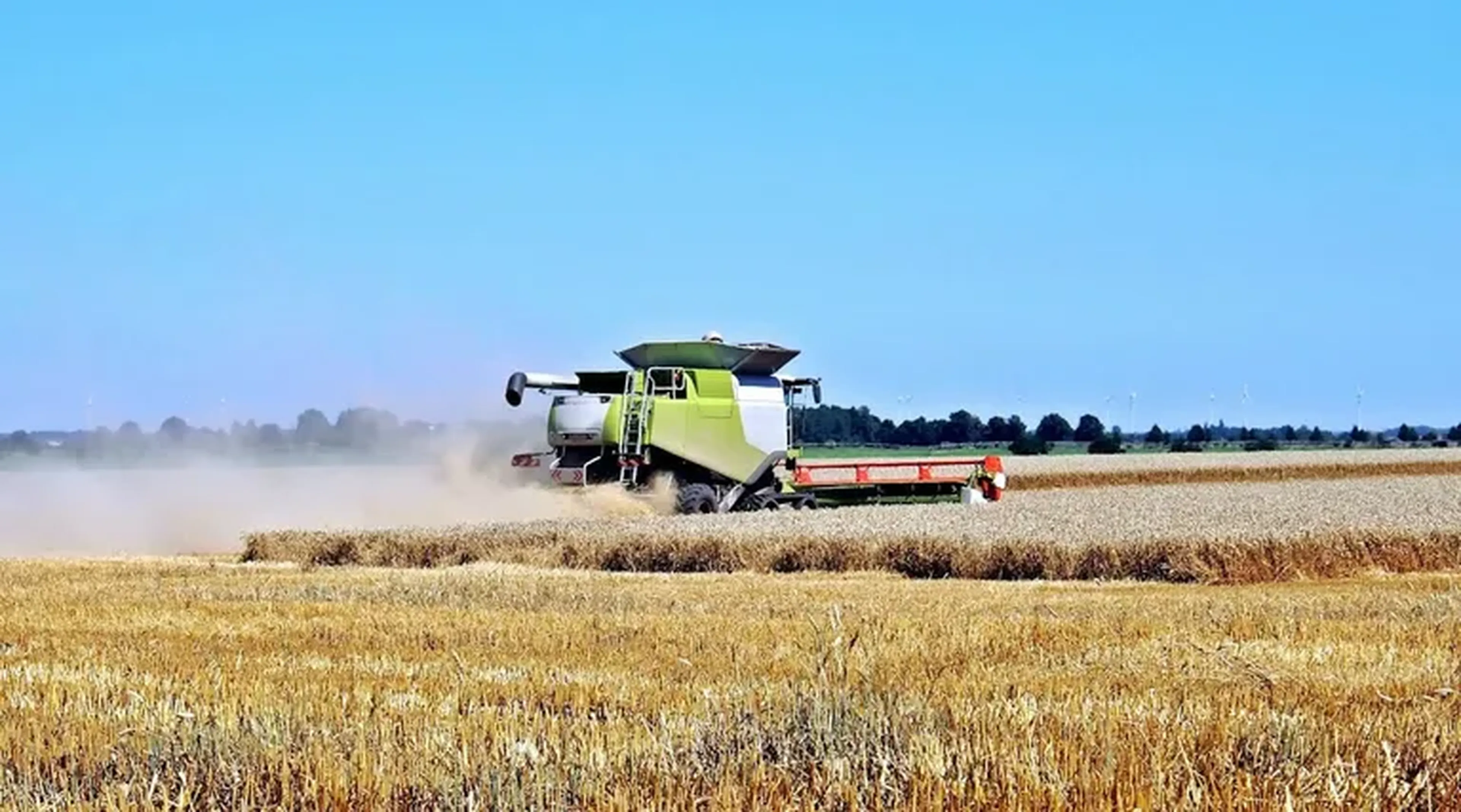 GRADUAÇÃO ACELERADA TECNÓLOGO EM GESTÃO AGRONEGÓCIO imagem