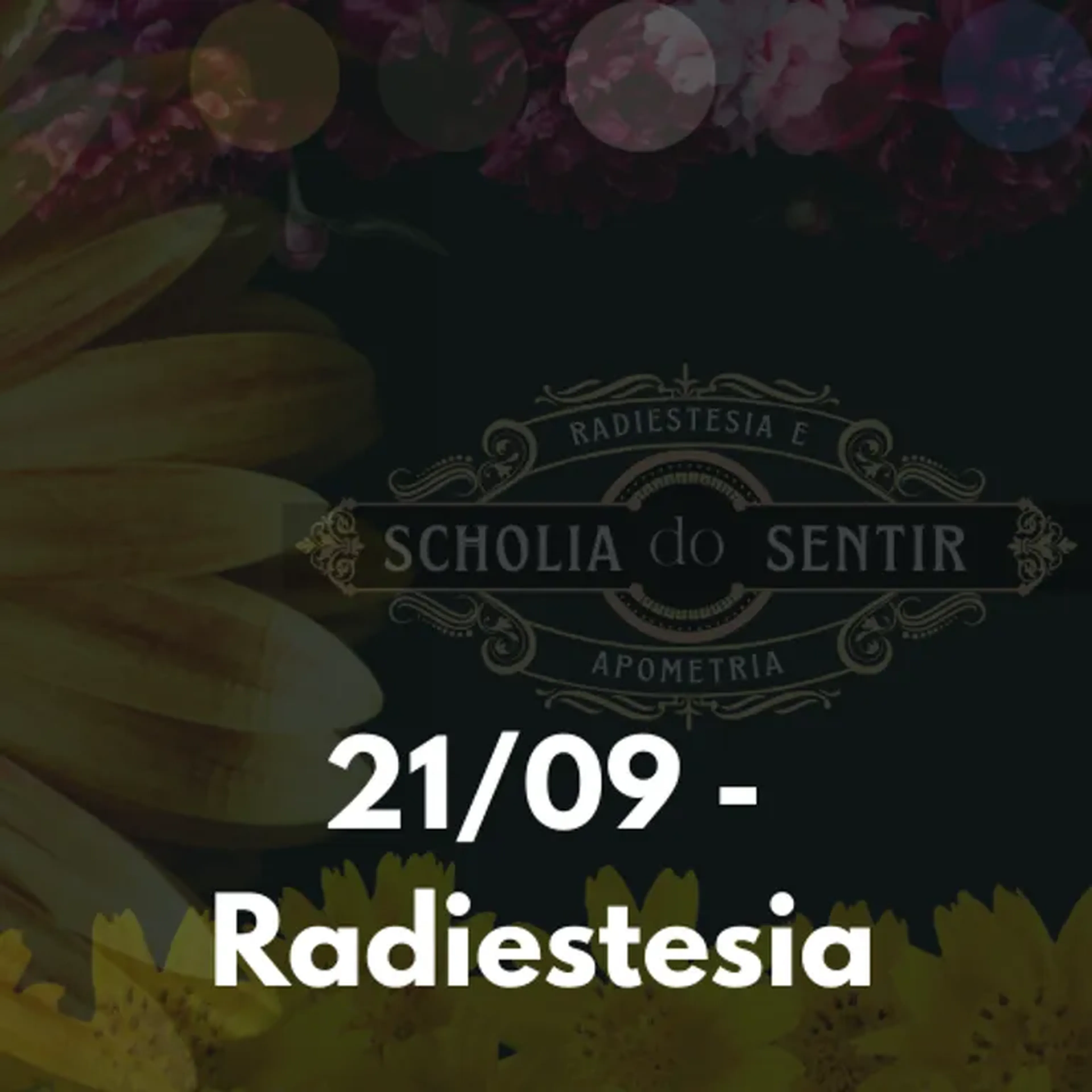 Passaporte 01 Dia - Radiestesia imagem
