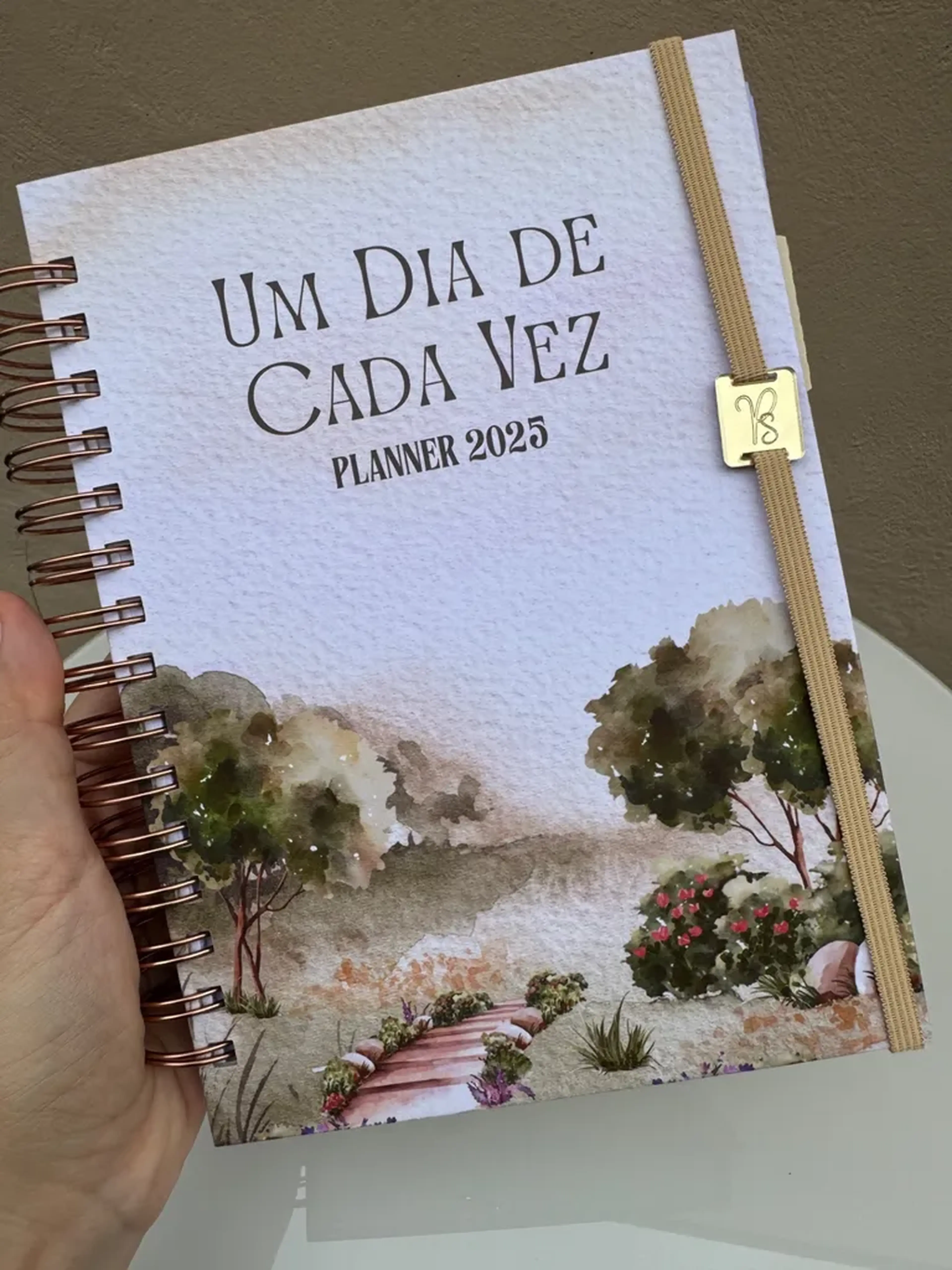 Planner Datado 2025 | Um Dia de Cada Vez imagem