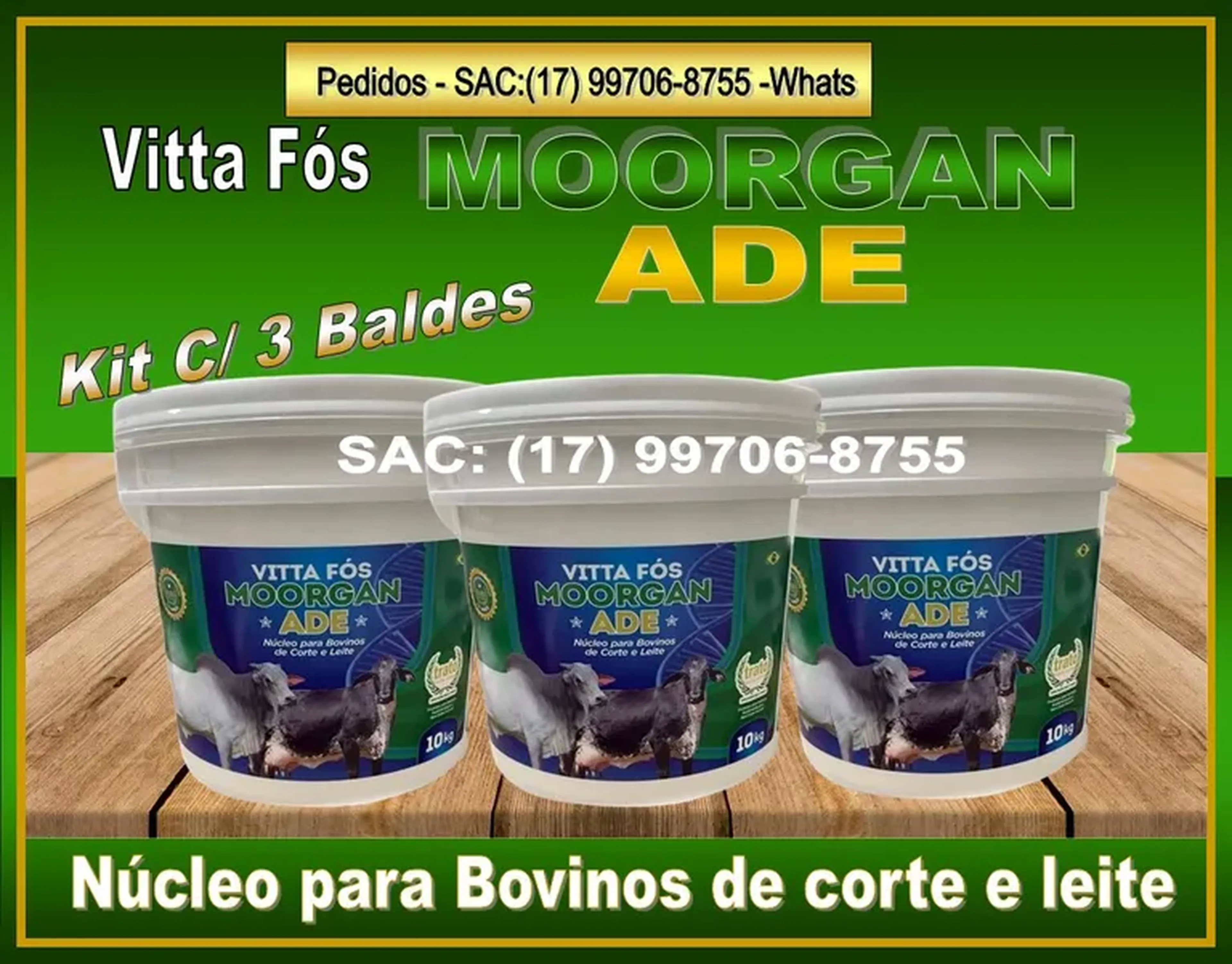 VITTA FÓS MOORGAN ADE imagem