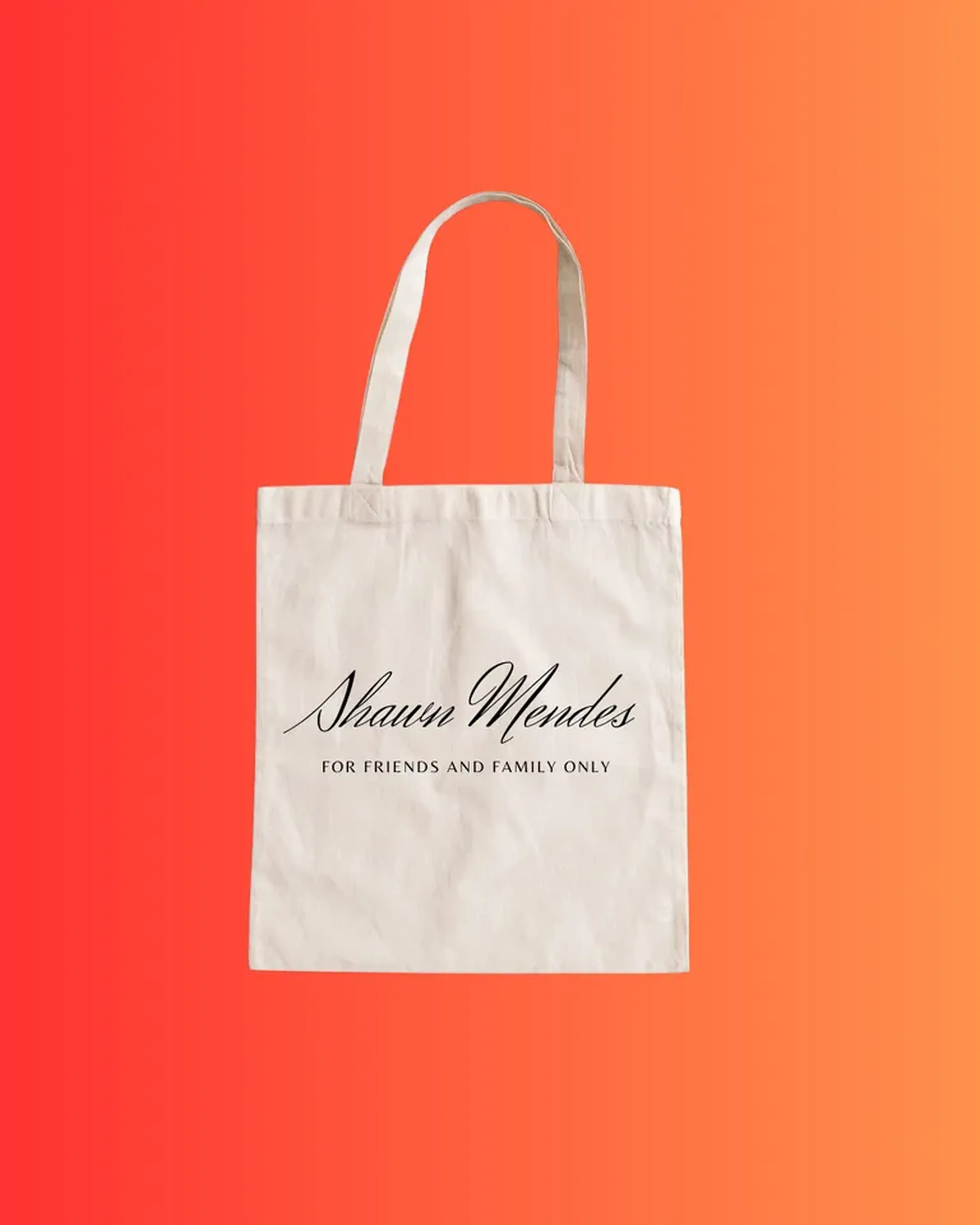Ecobag Shawn Mendes imagem