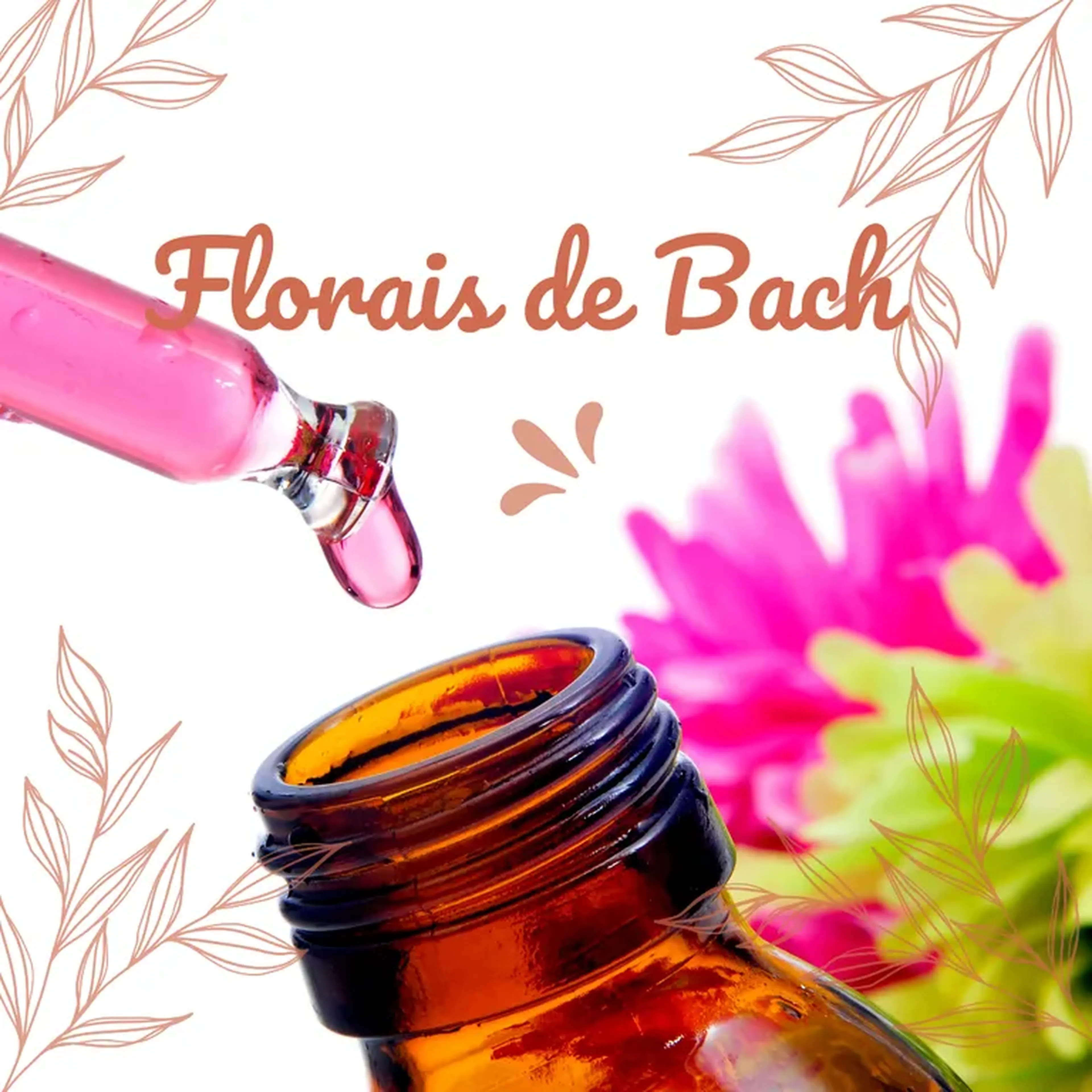 Curso de Florais de Bach online imagem