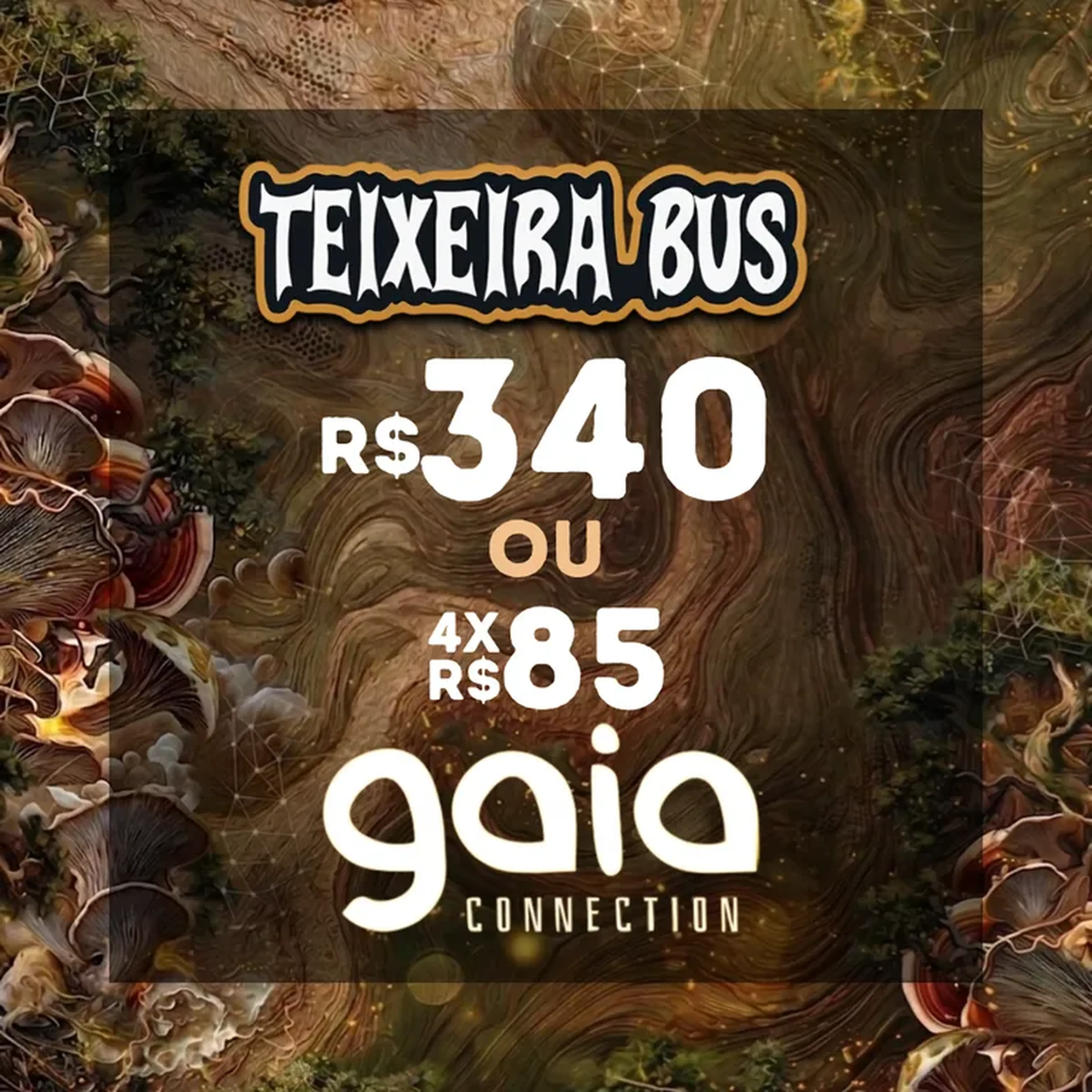 Transporte Gaia Connection imagem