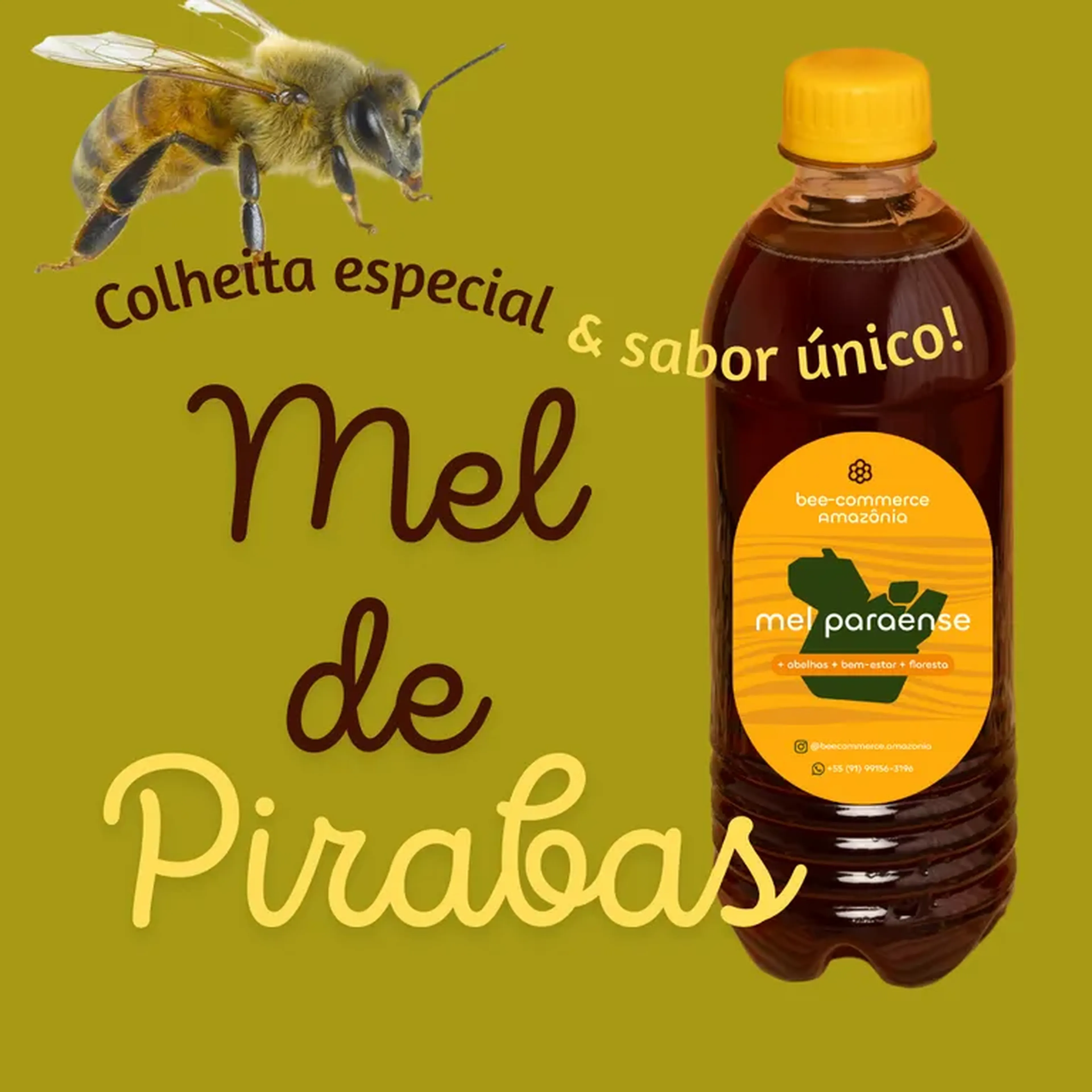 Mel de São João de Pirabas - 500 ml imagem