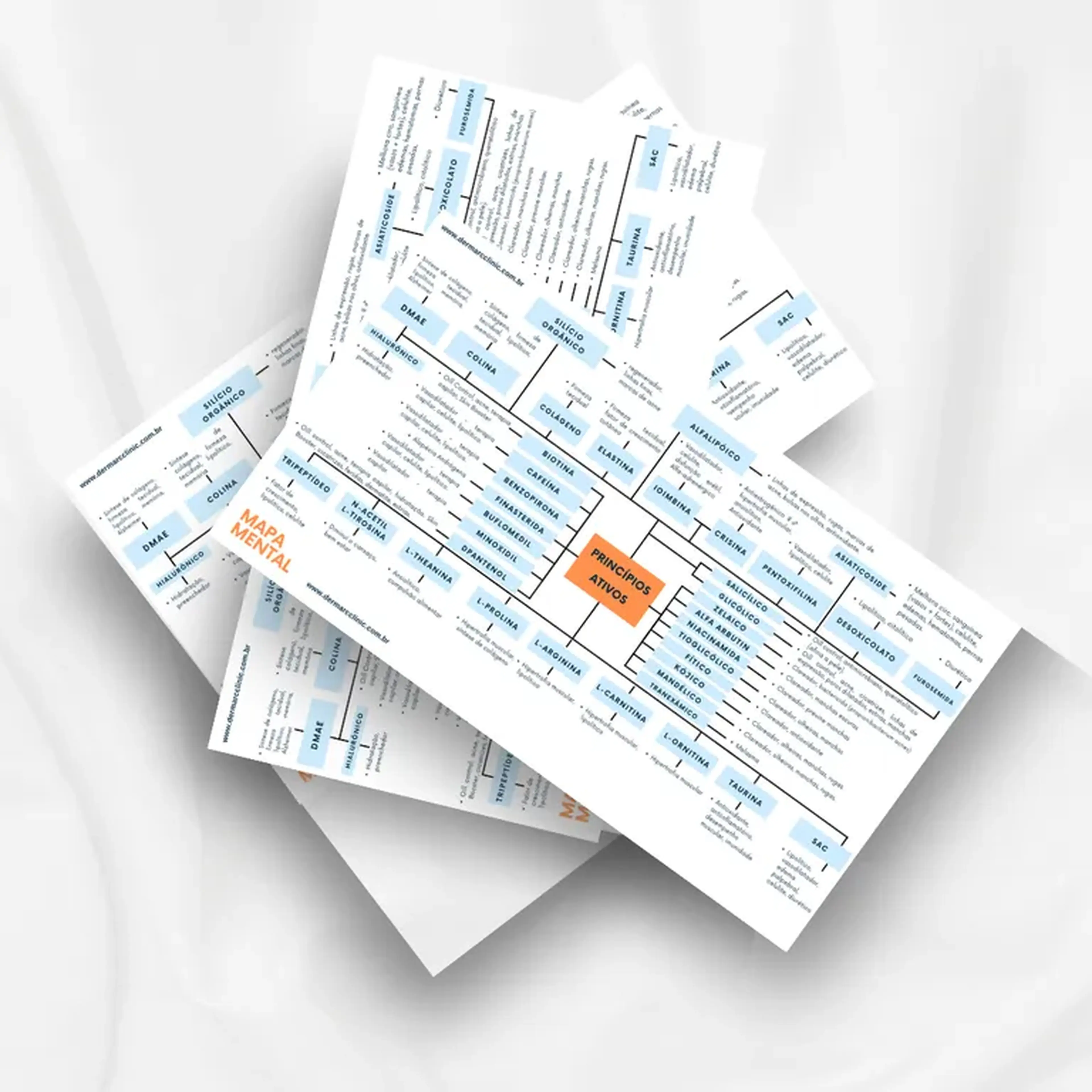 MAPA MENTAL - PRINCÍPIOS ATIVOS imagem