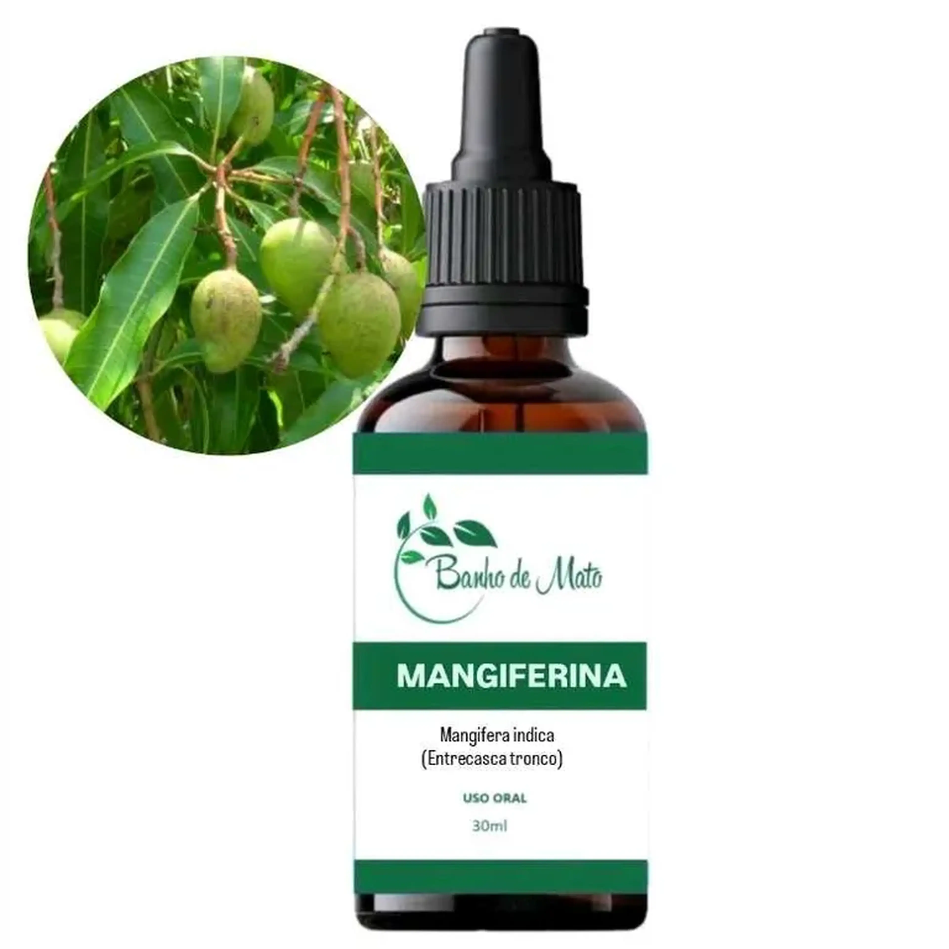 Extrato - MANGUEIRA Mangifera indica (entrecasca) imagem