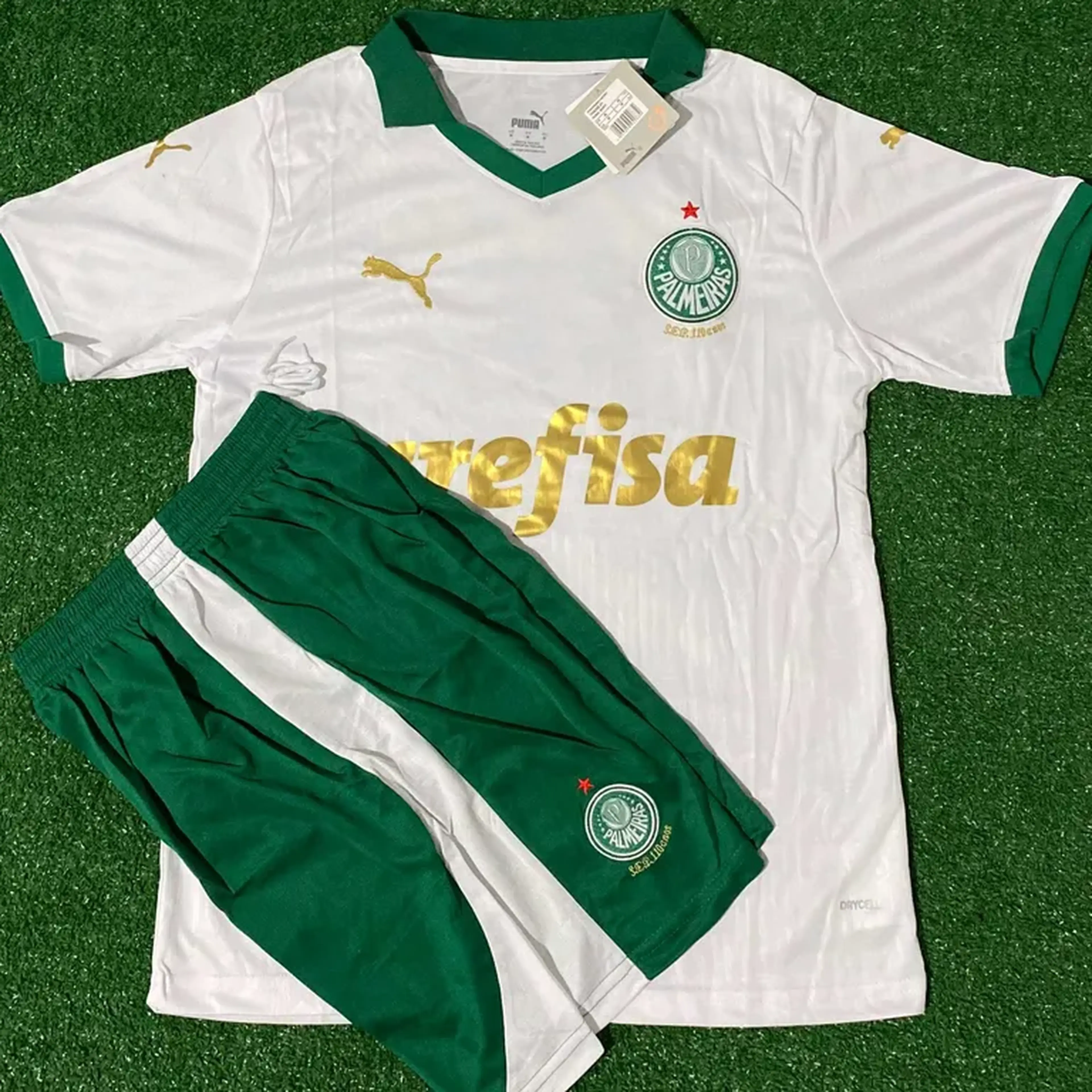 uniforme Palmeiras imagem