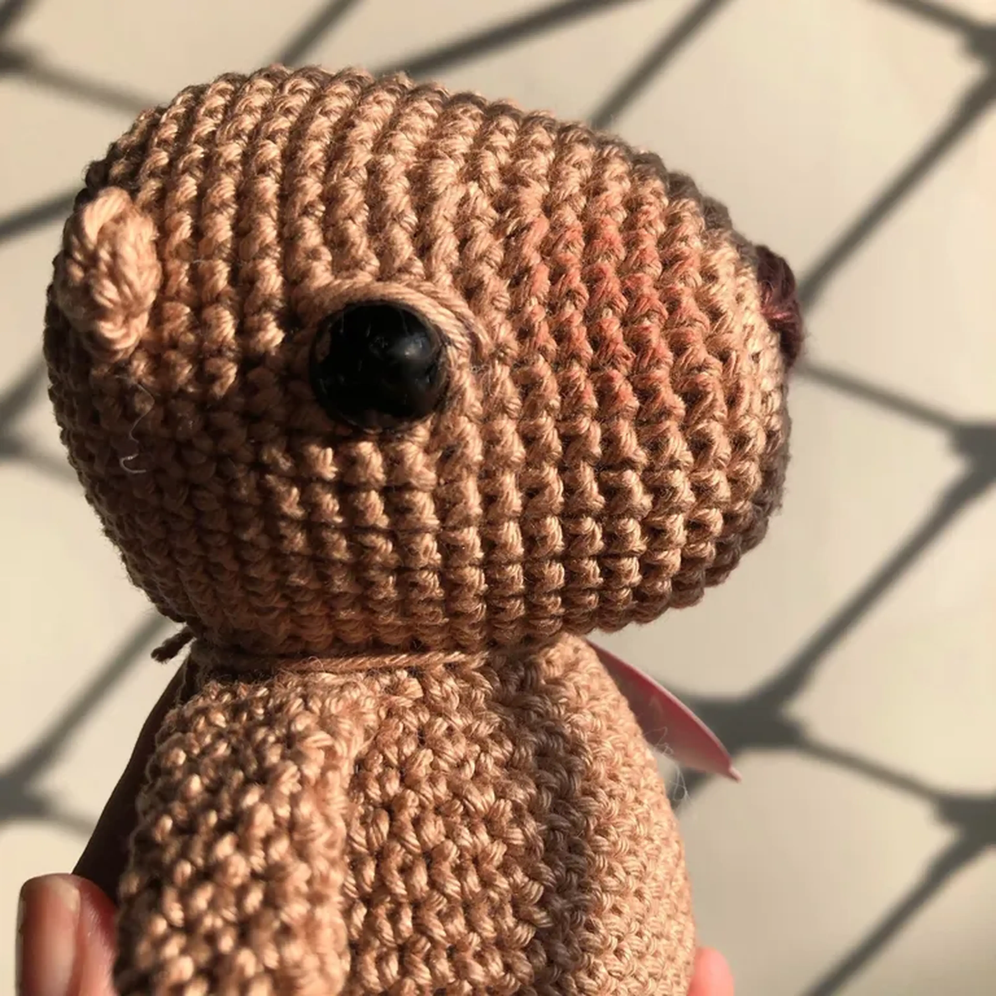 Capivara Mini Animais imagem