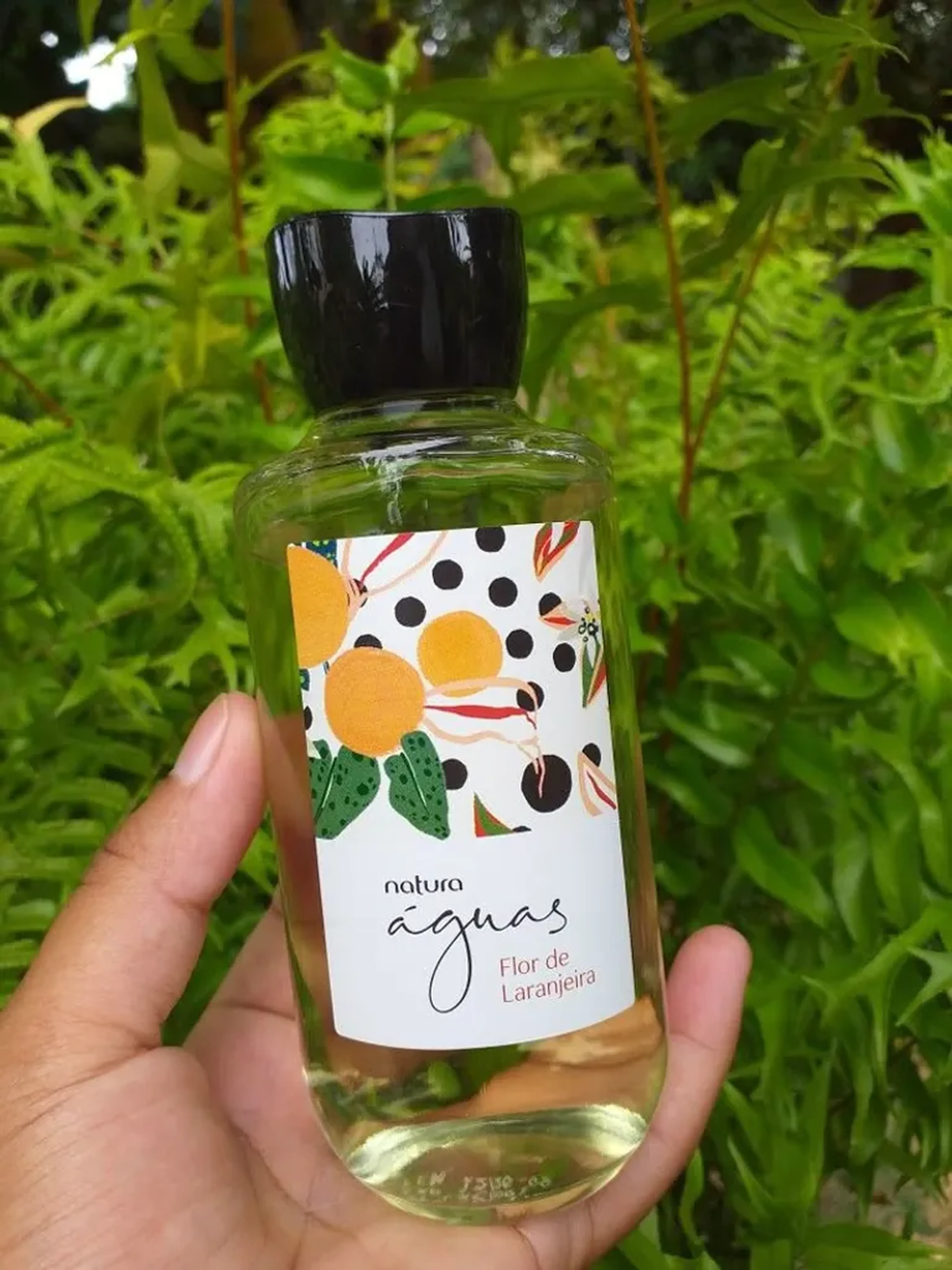 Perfume Flor de Laranjeira imagem