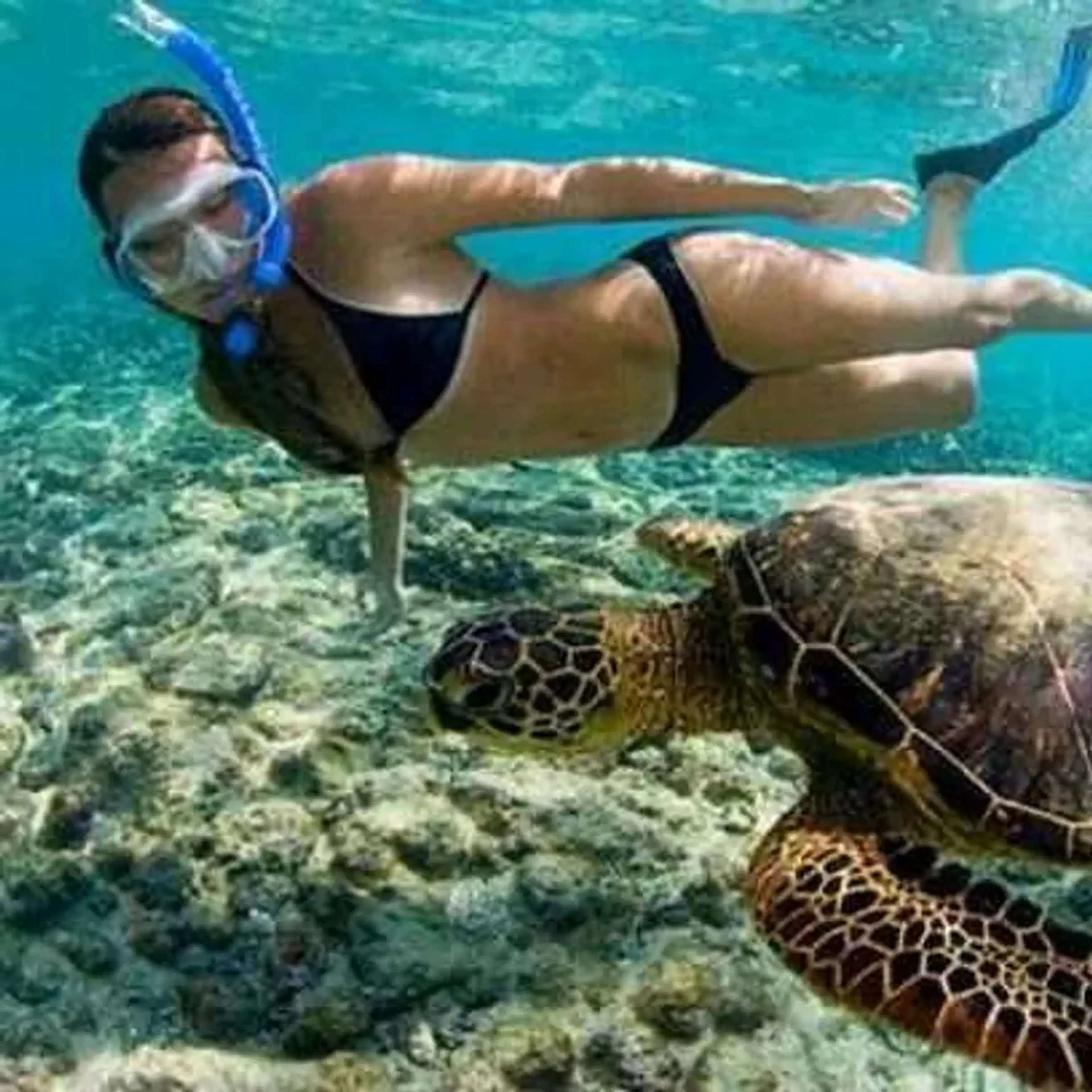 MERGULHO DE FLUTUAÇÃO EM ILHABELA imagem