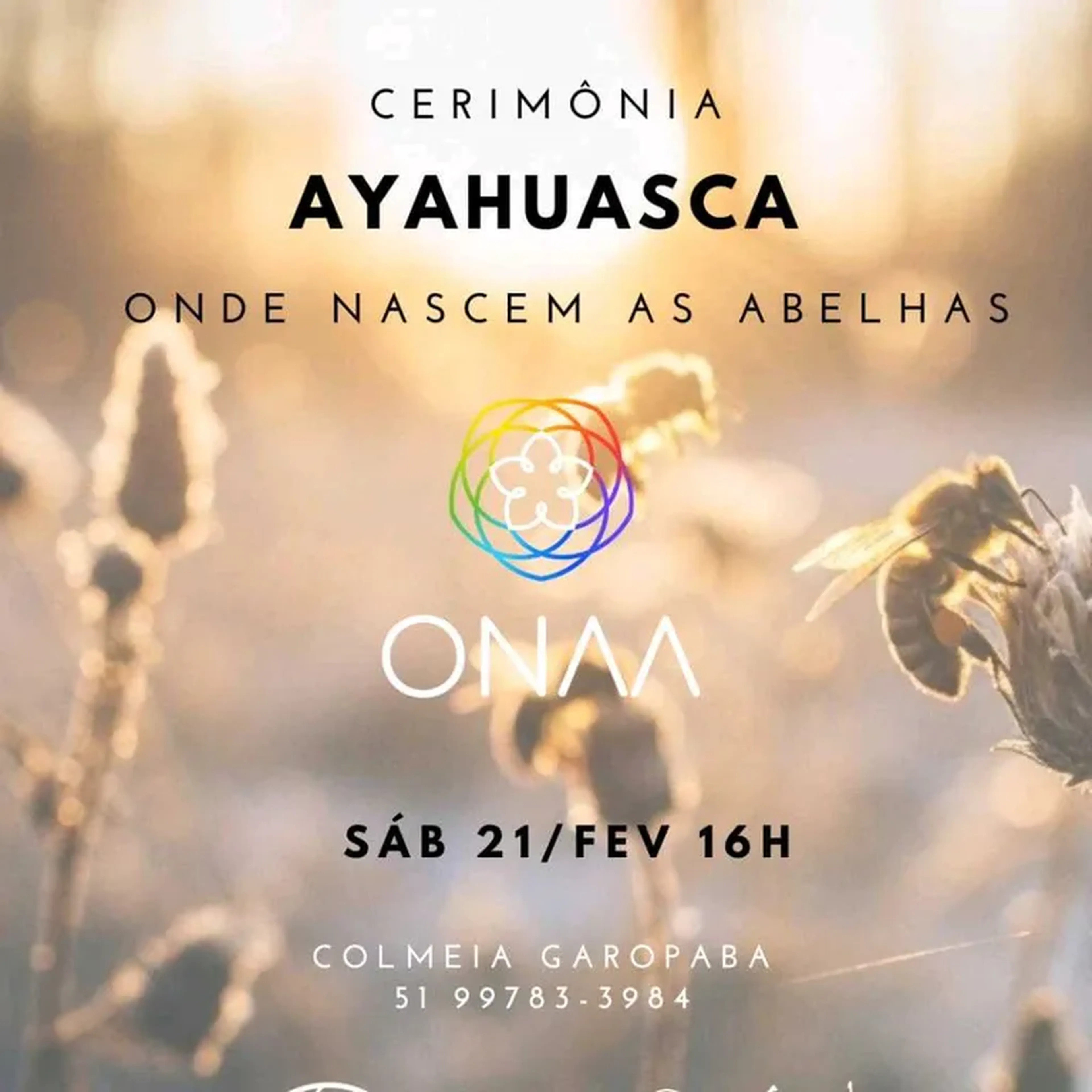 Cerimônia com Ayahuasca - ONAA - 21 fevereiro imagem