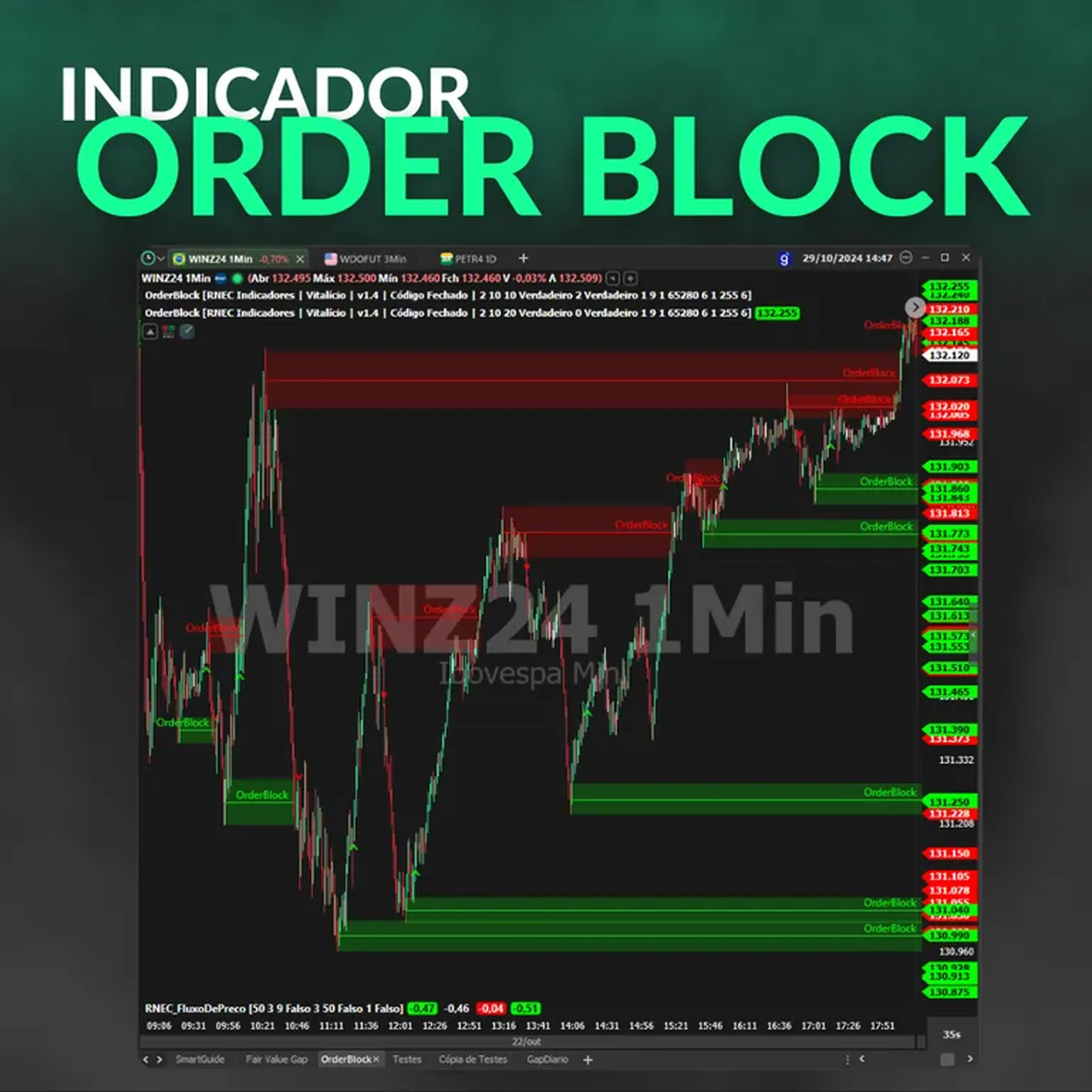 Indicador de OrderBlock - Nelogica imagem