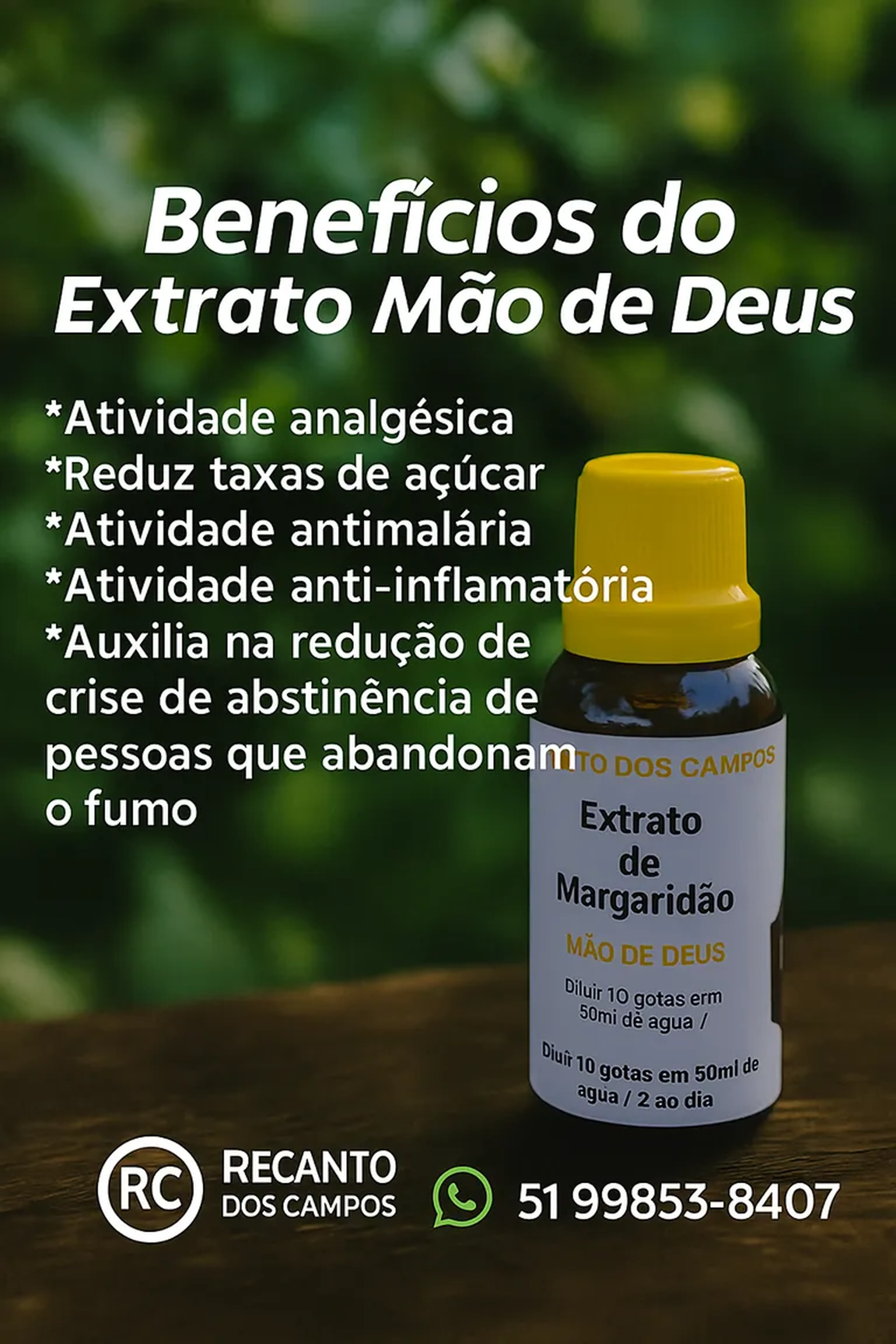 Extrato de Margaridão imagem