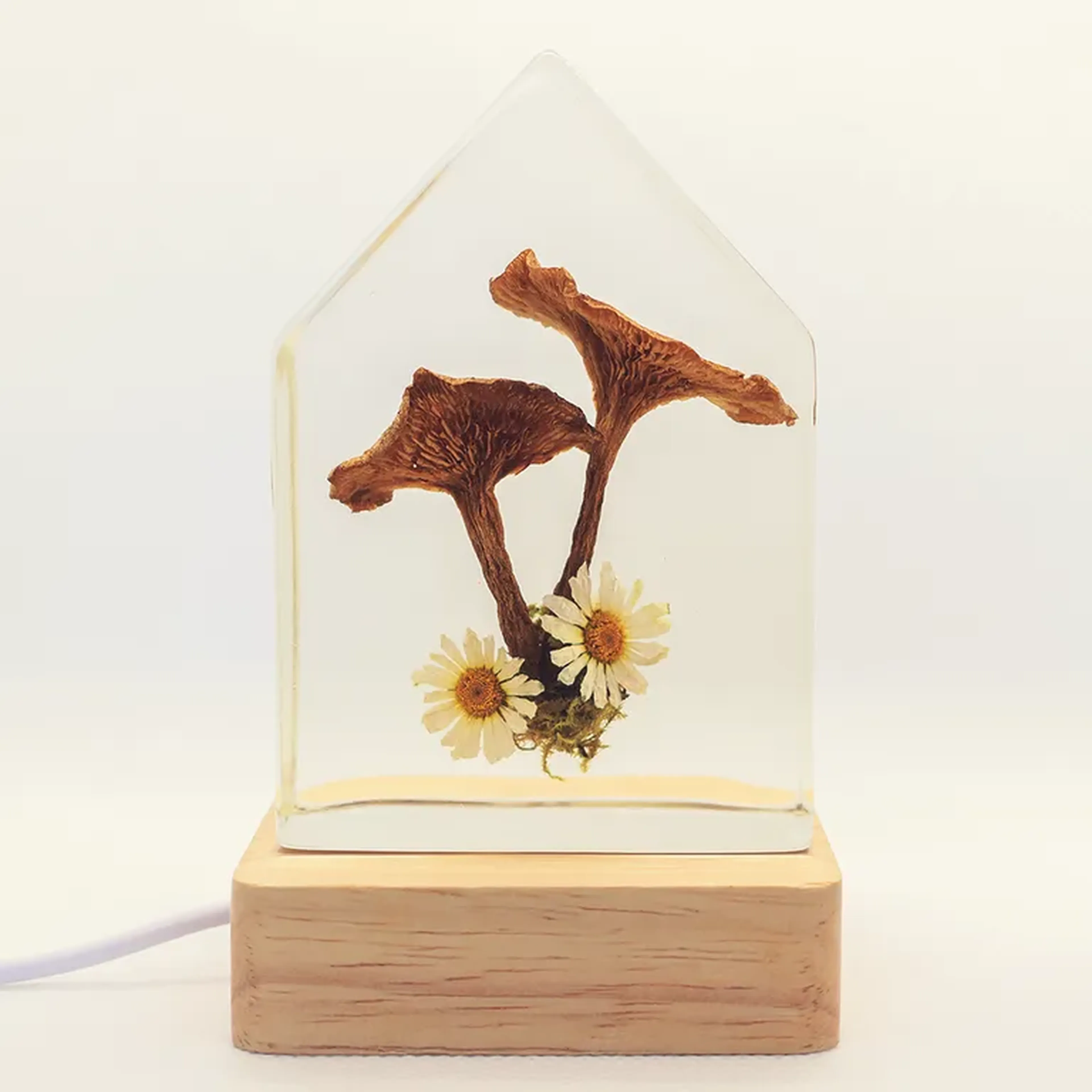 Luminária Casinha M - Cogumelos e Margaridas imagem