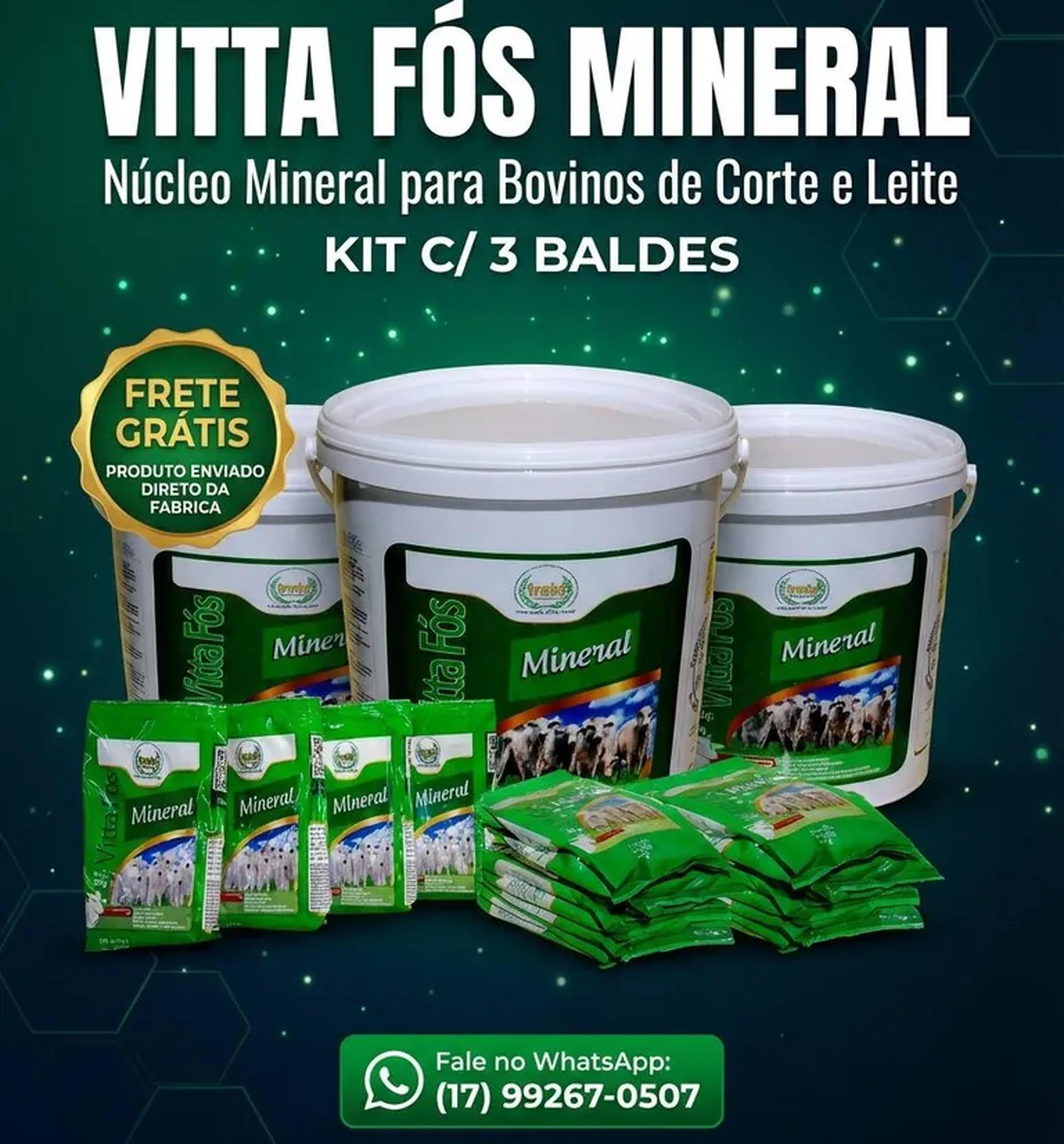 VITTA FÓS MINERAL - KIT C 3 BALDES imagem