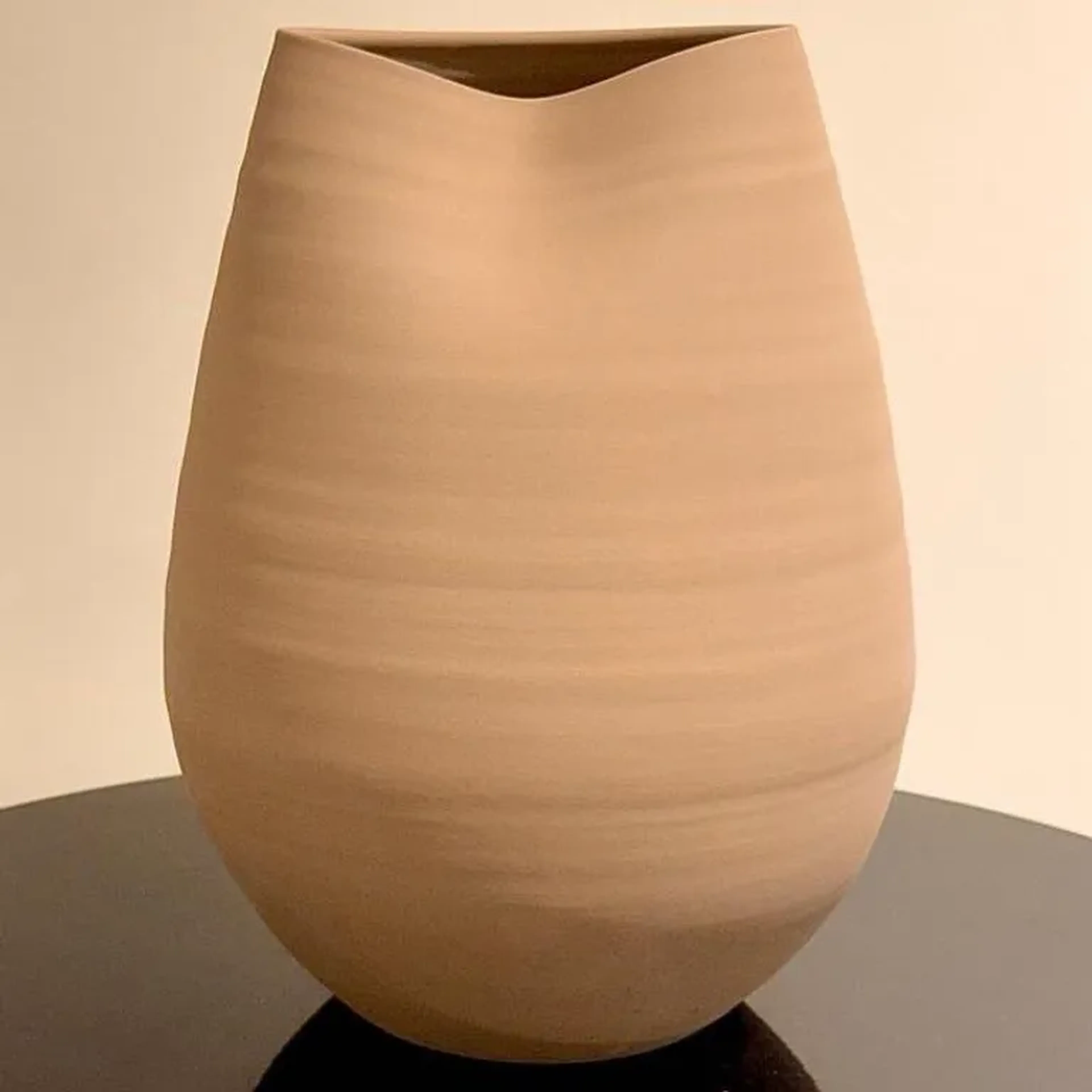 Vaso em Cerâmica Orgânico Cinza xxx imagem