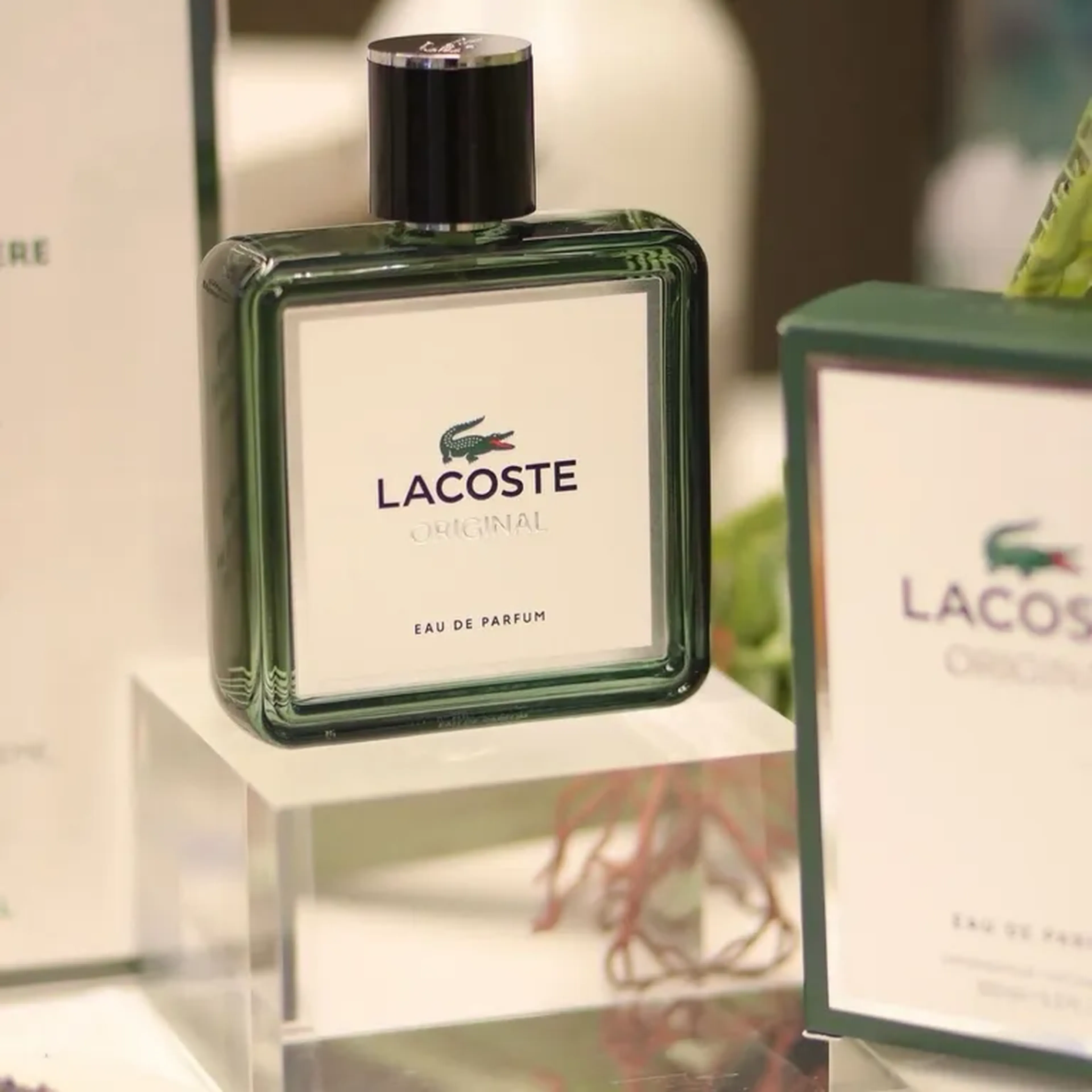 LACOSTE ORIGINAL imagem