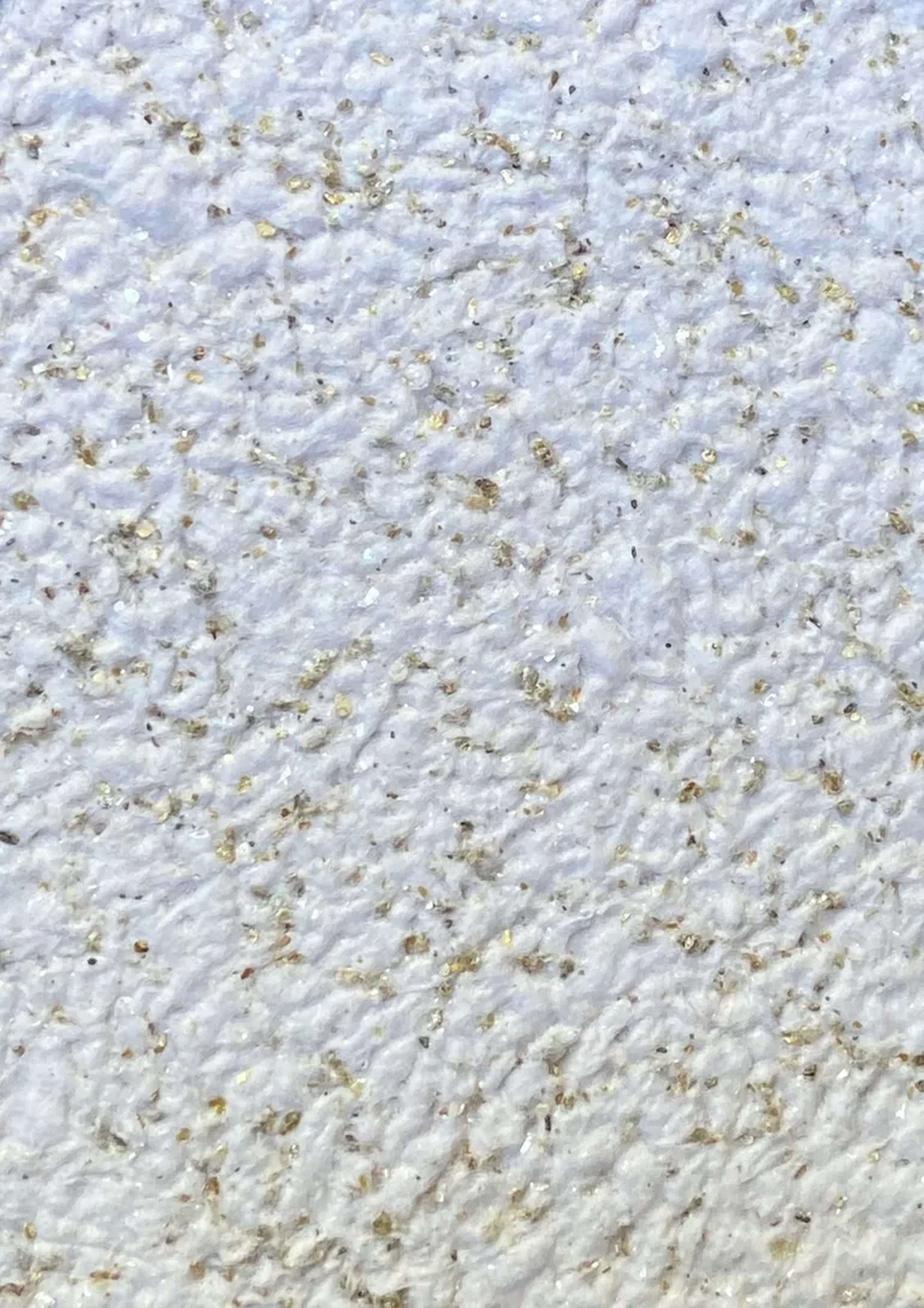 Papel de Parede Líquido - Royale - 1091 imagem