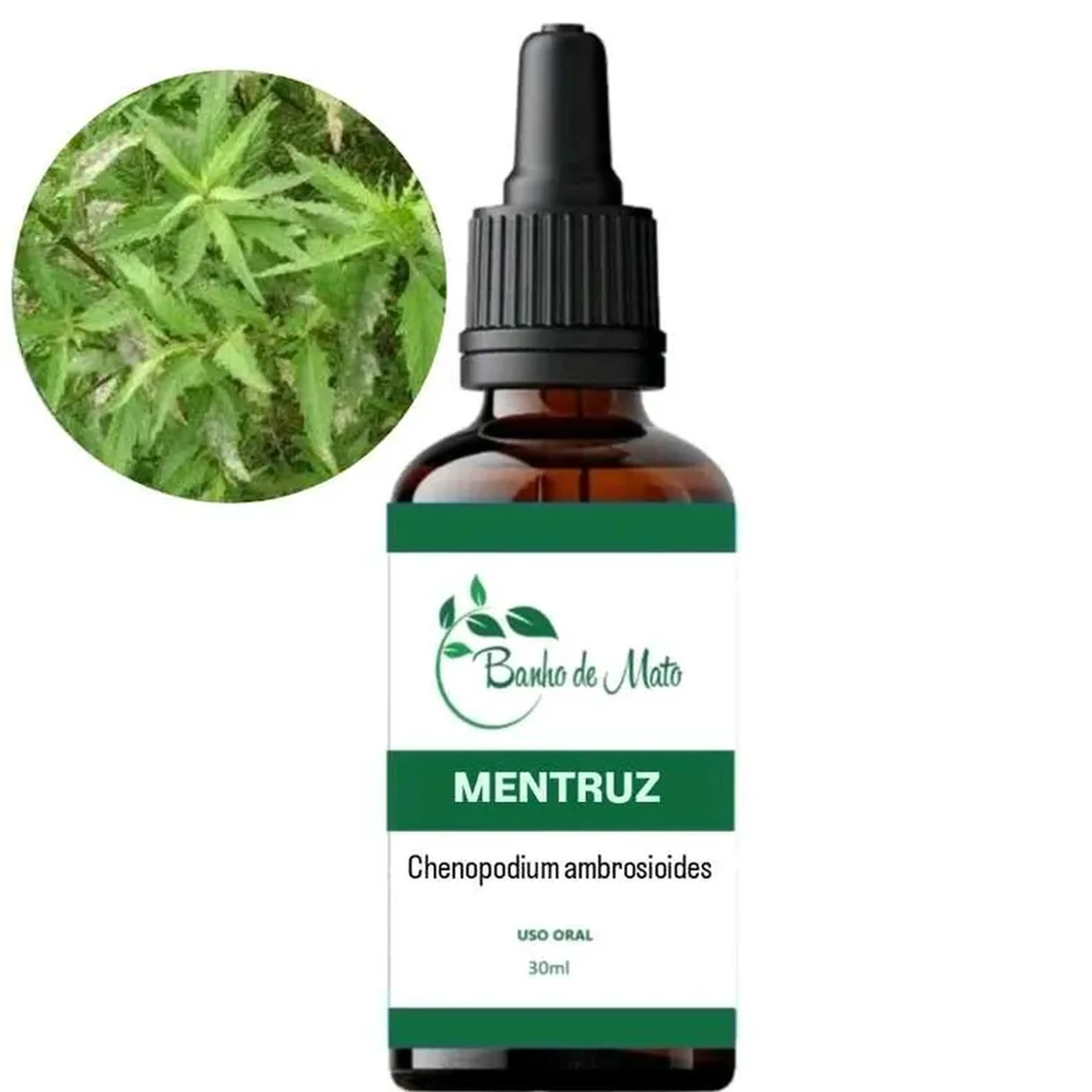 Extrato - MENTRUZ (Dysphania ambrosioides) imagem