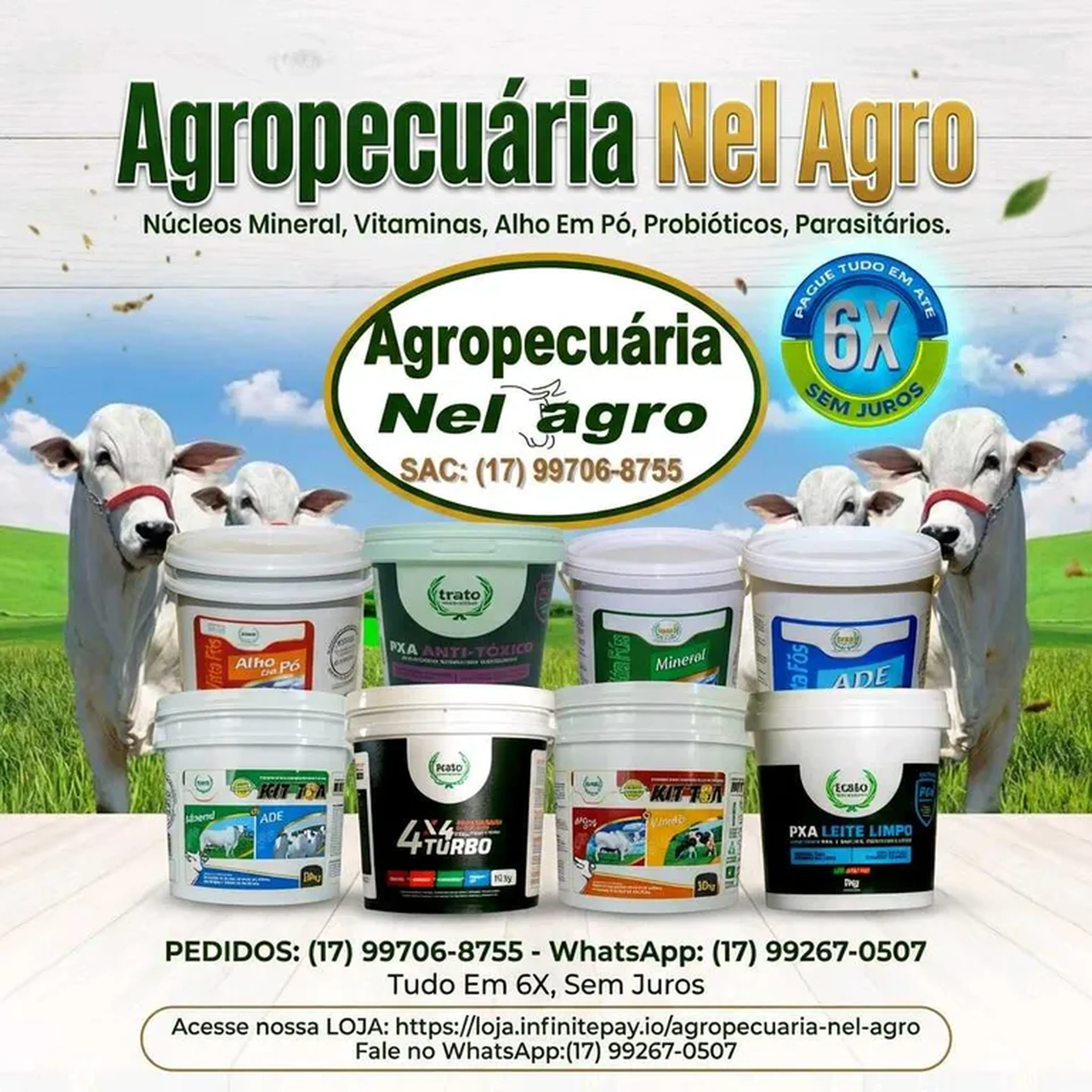 NUCLEO MINERAL PARA BOVINOS imagem