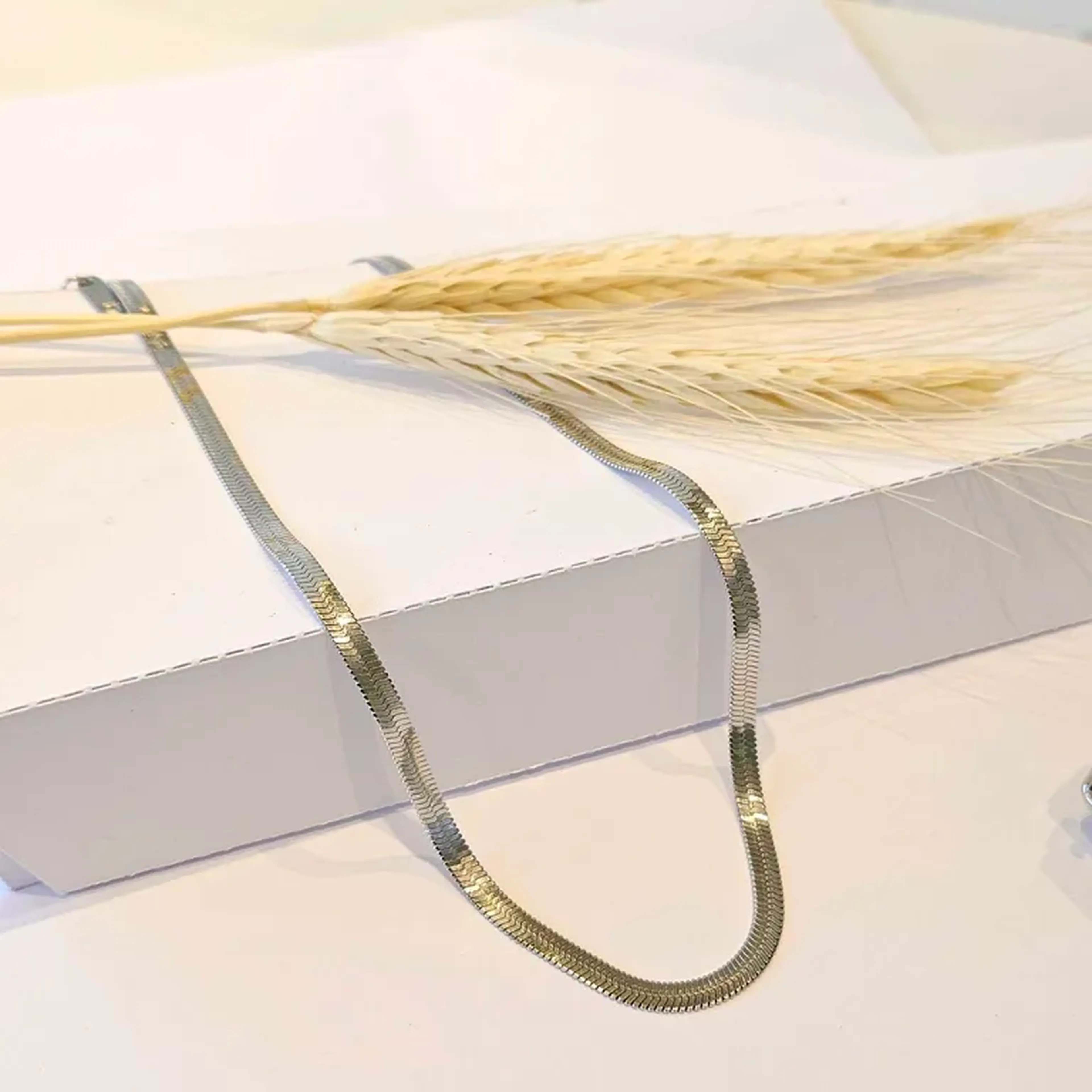 COLAR MALHA 4MM AÇO imagem