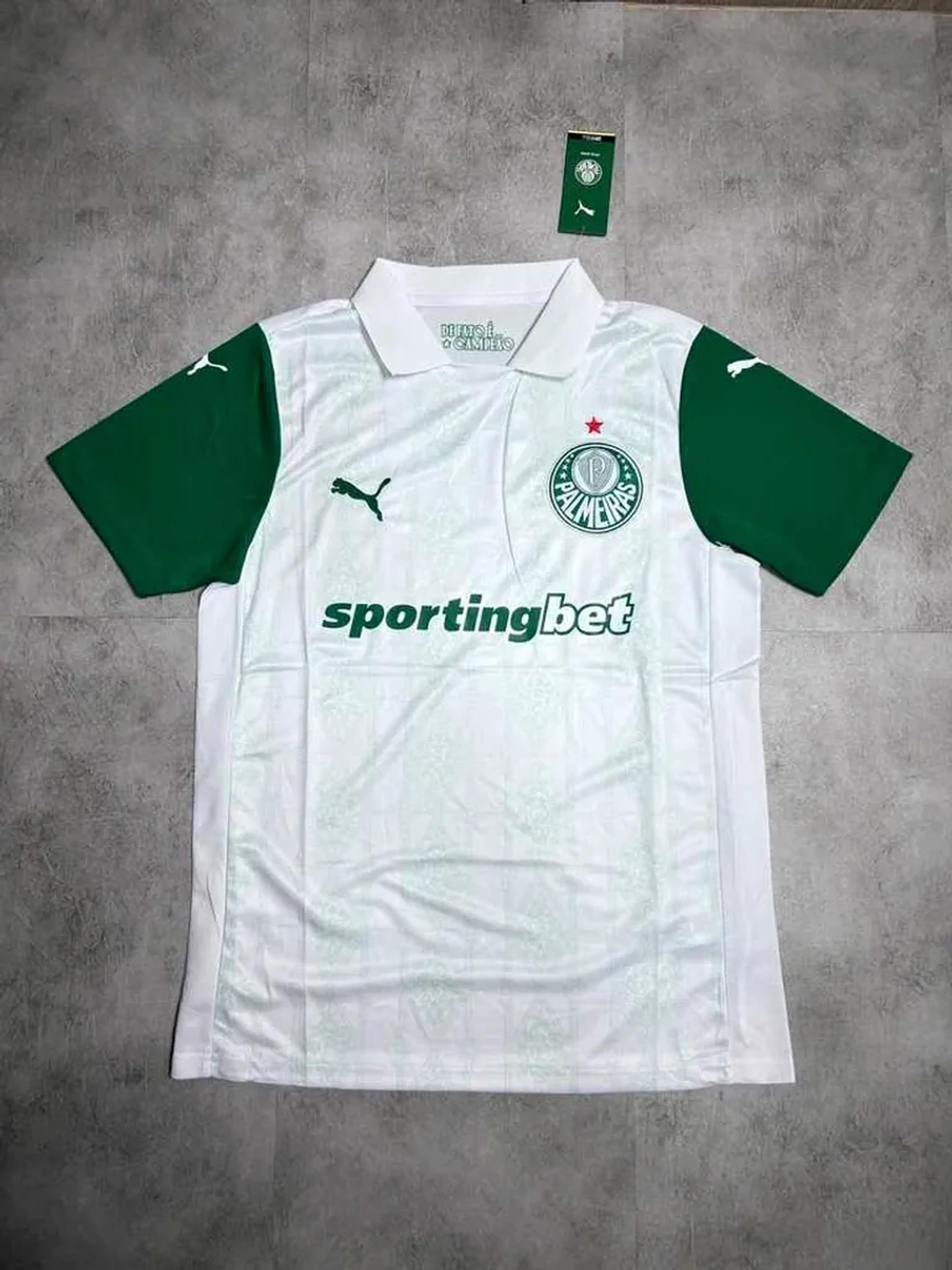 PALMEIRAS RESERVA 2025 26✅ imagem