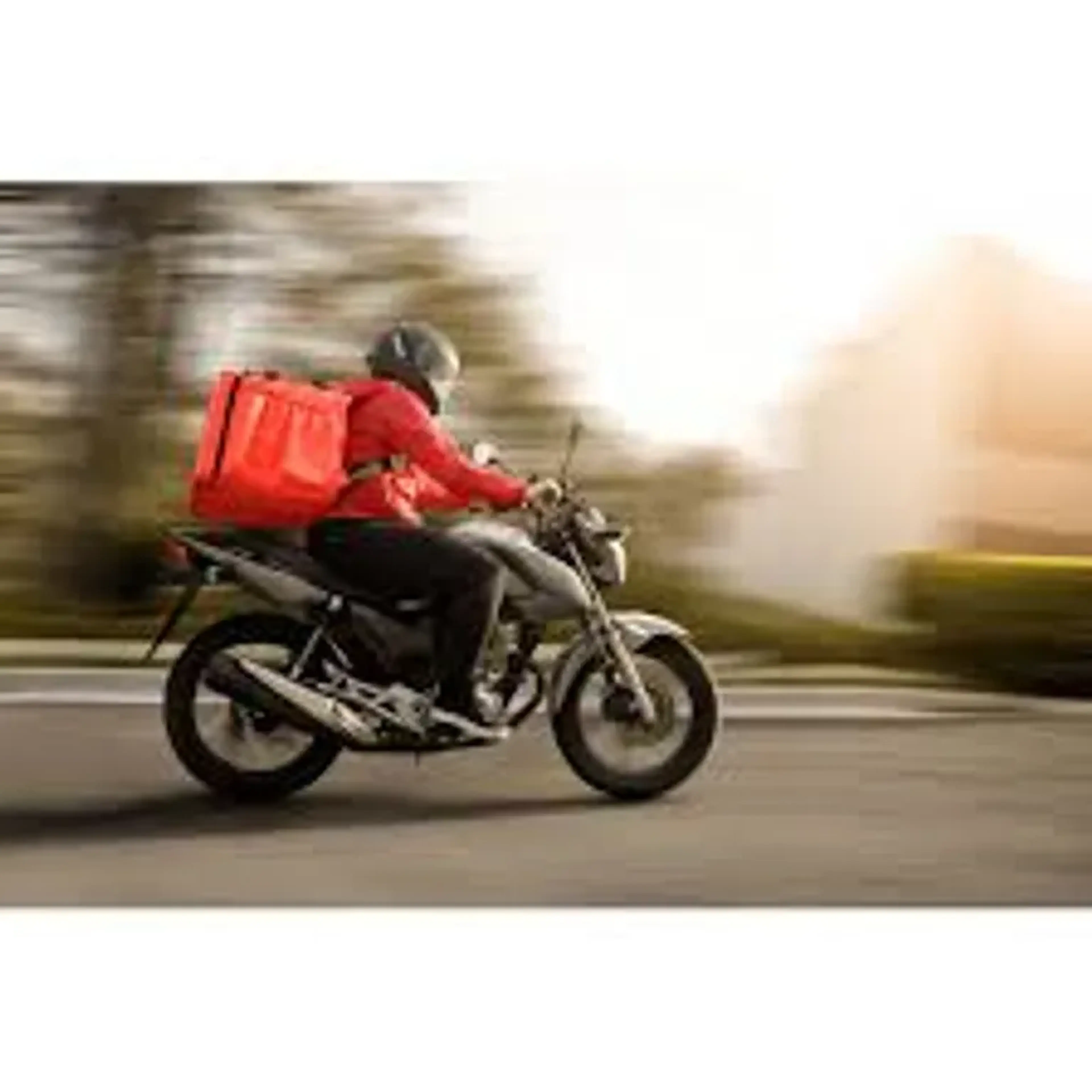 ENTREGA DOMICILIAR imagem