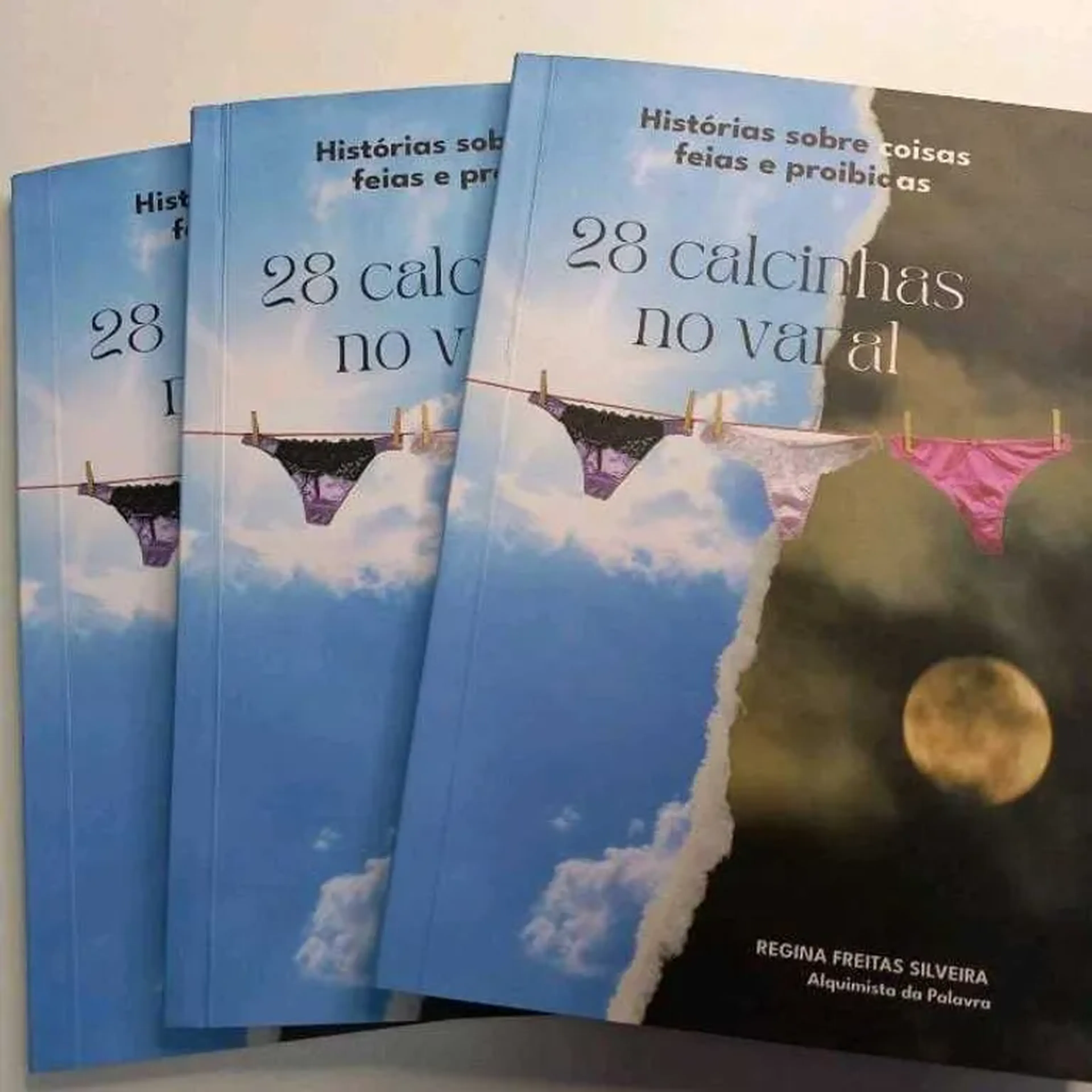 Livro 28 Calcinhas no Varal imagem